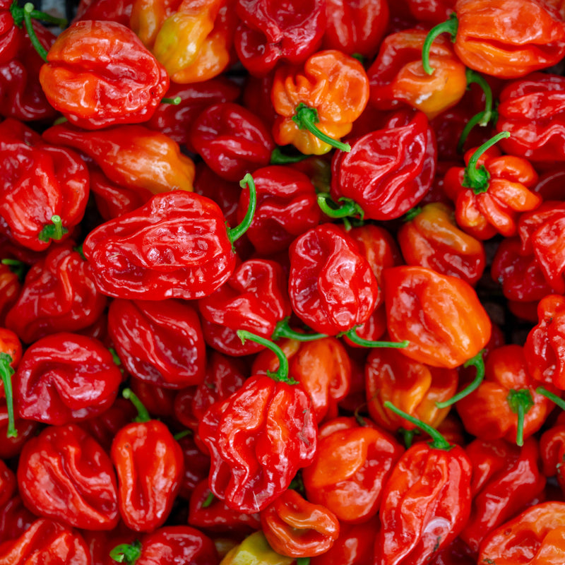 Produse - 100.000 - 700.000 SHU