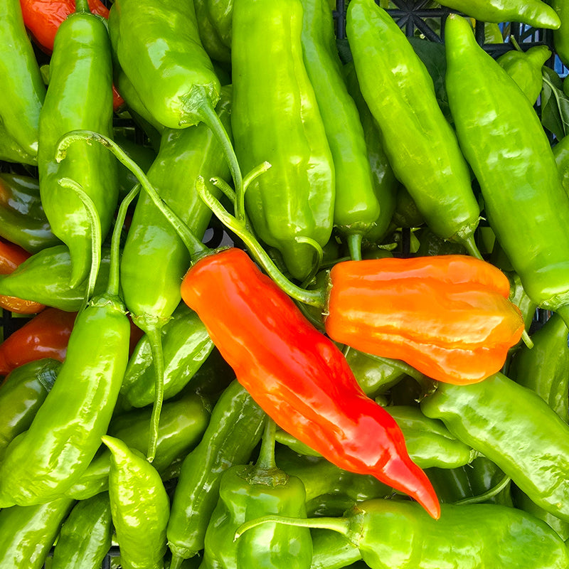 Produse - 100.000 SHU