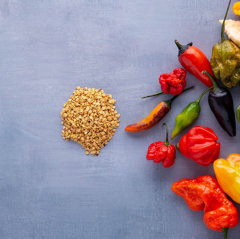 Seminte ardei de soi