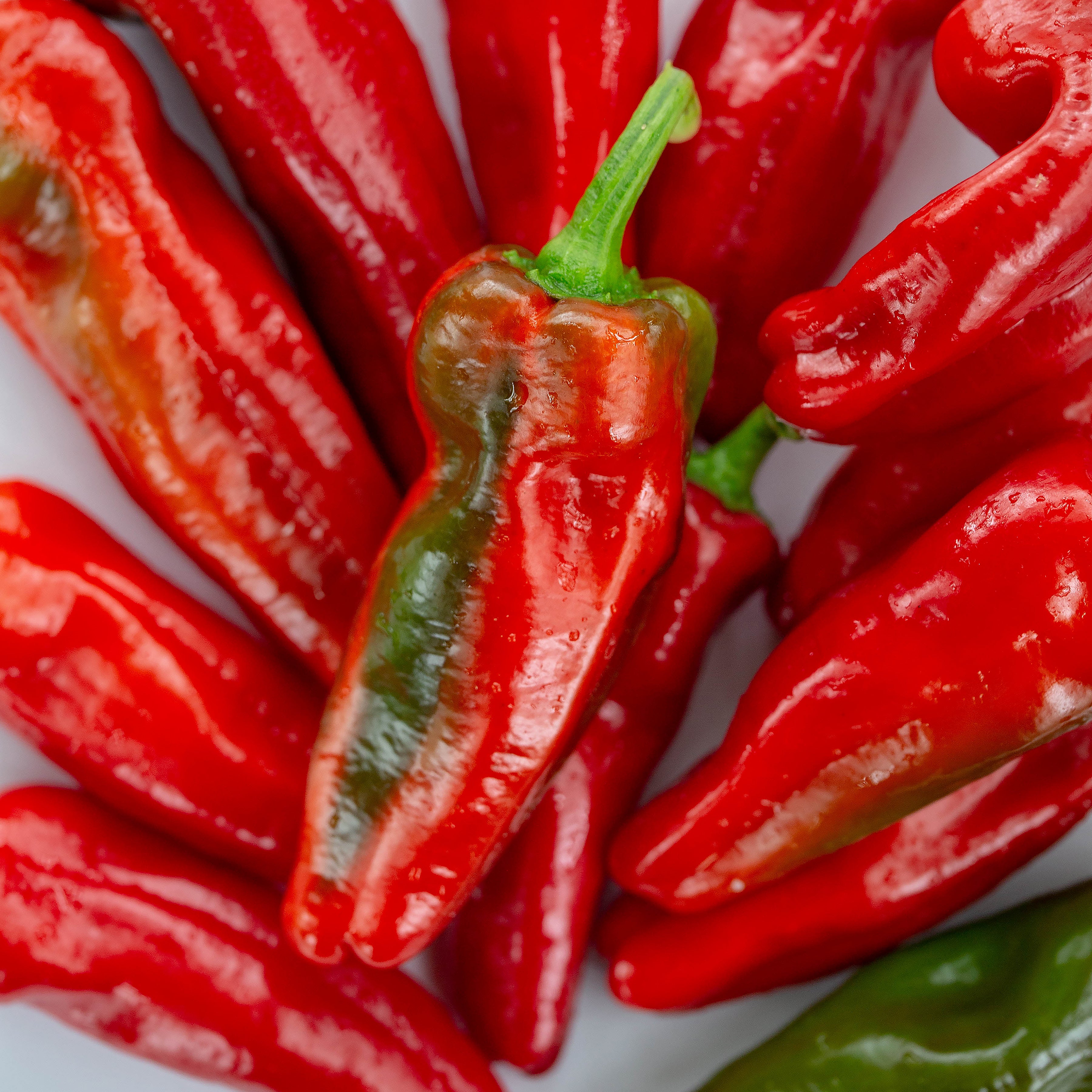 Ardei - Pimiento de Padrón