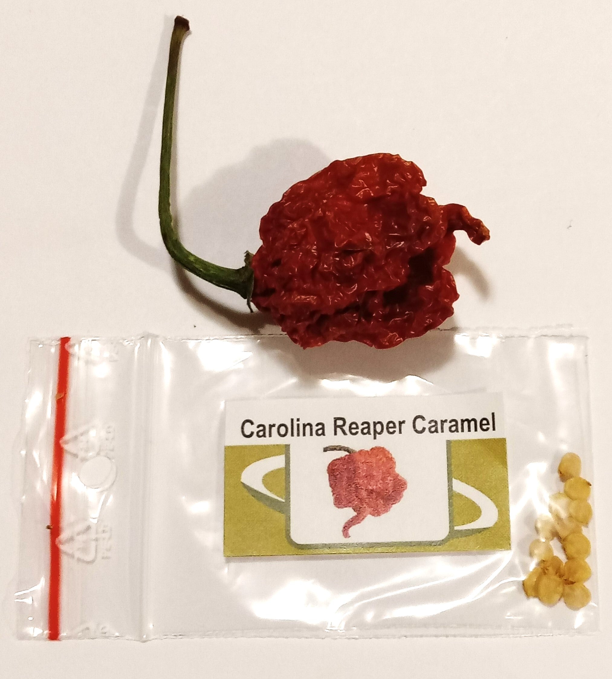 Seminţe Ardei - Carolina Reaper Caramel