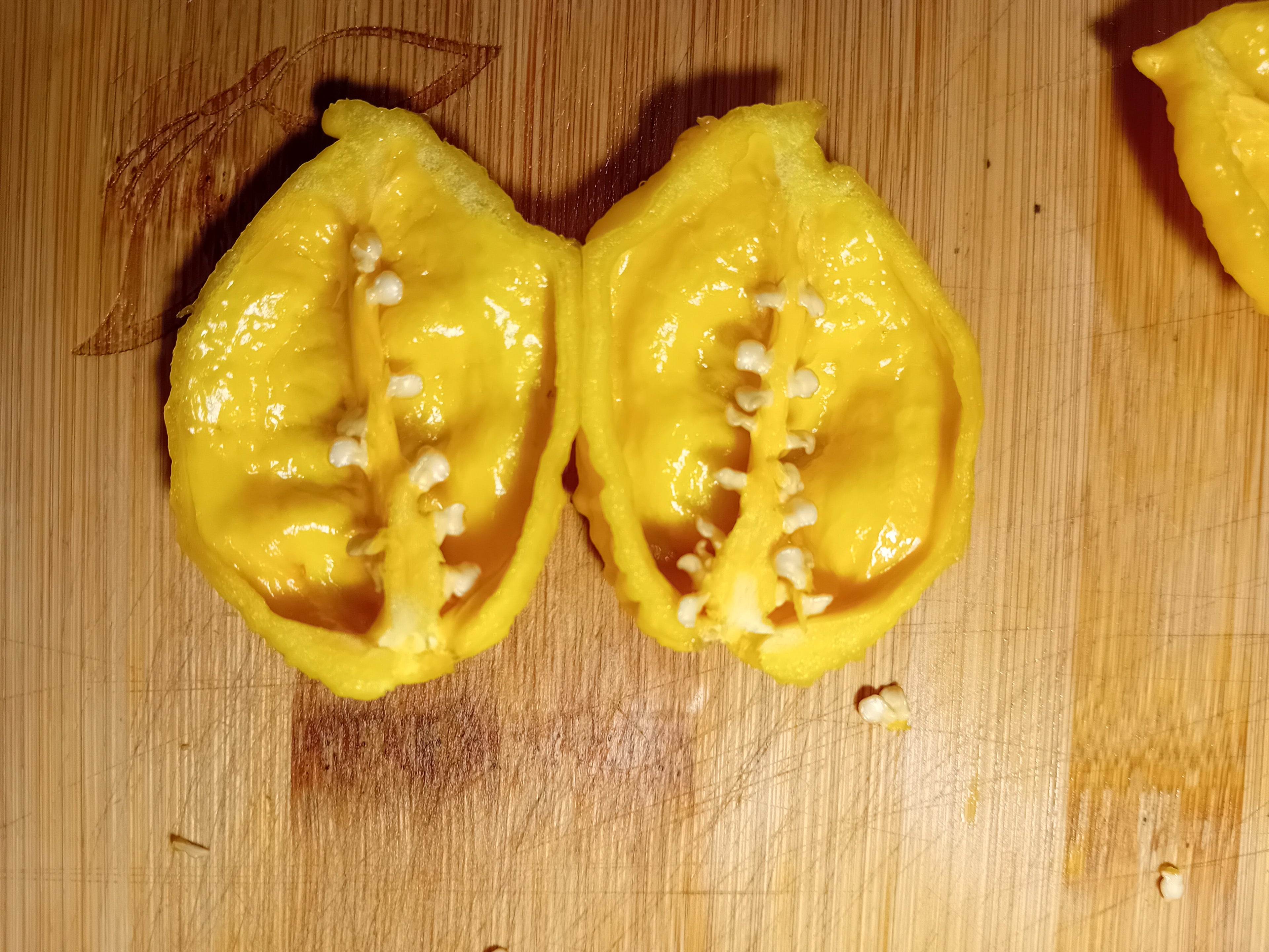 Răsad Ardei - Camera Doi GT