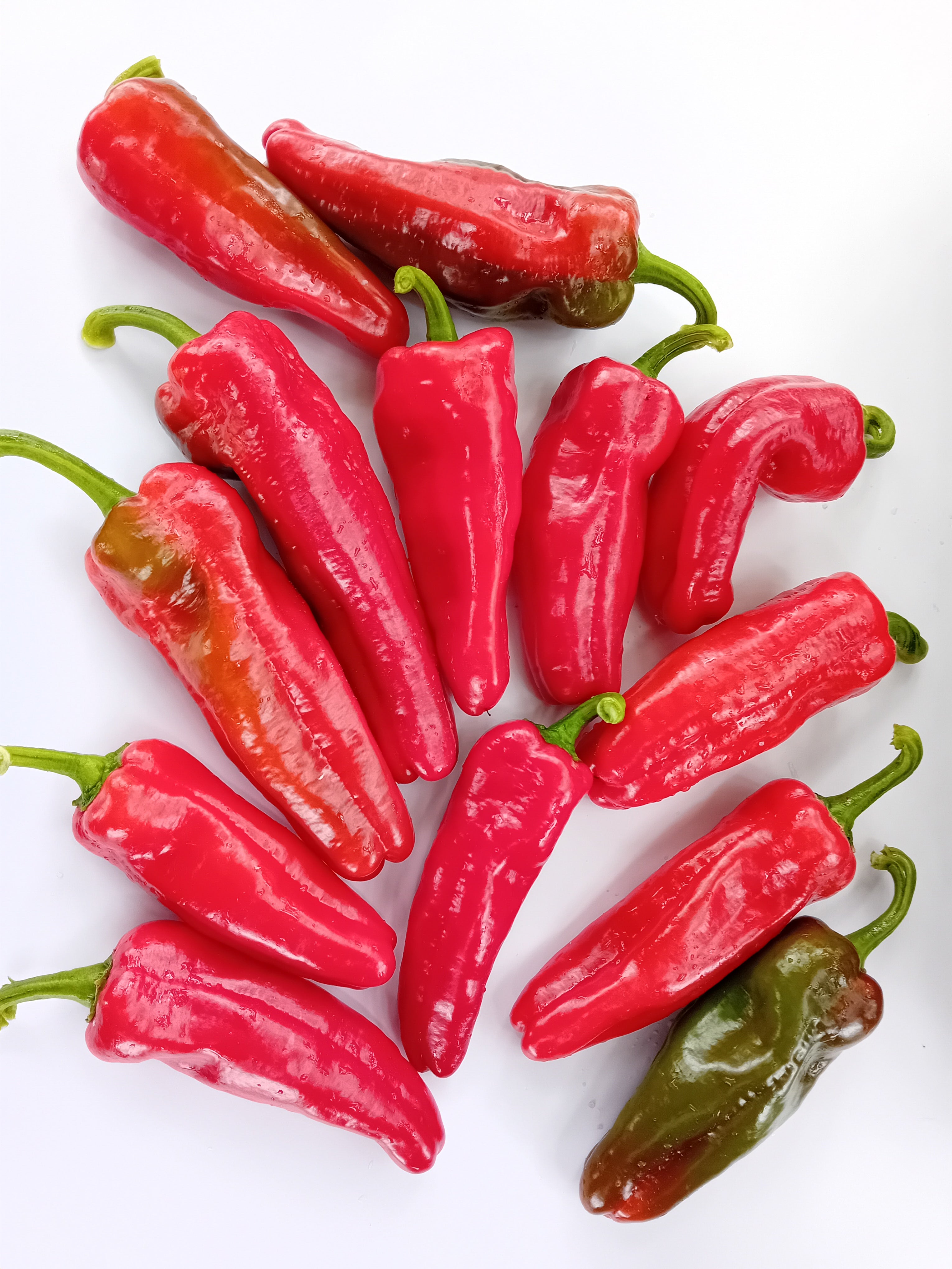 Seminţe Ardei - Pimento Padron