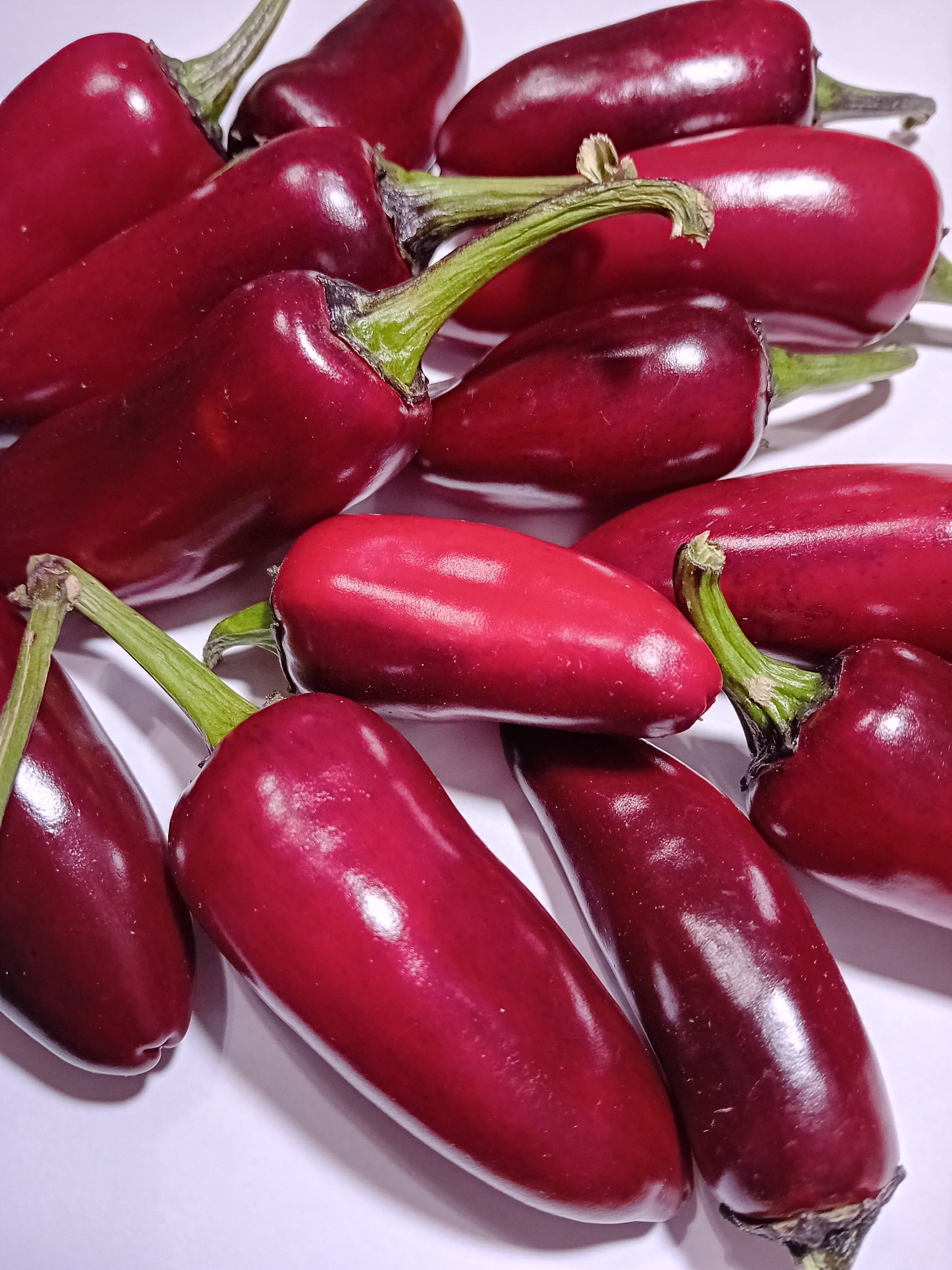 Seminţe Ardei - Jalapeno Purple