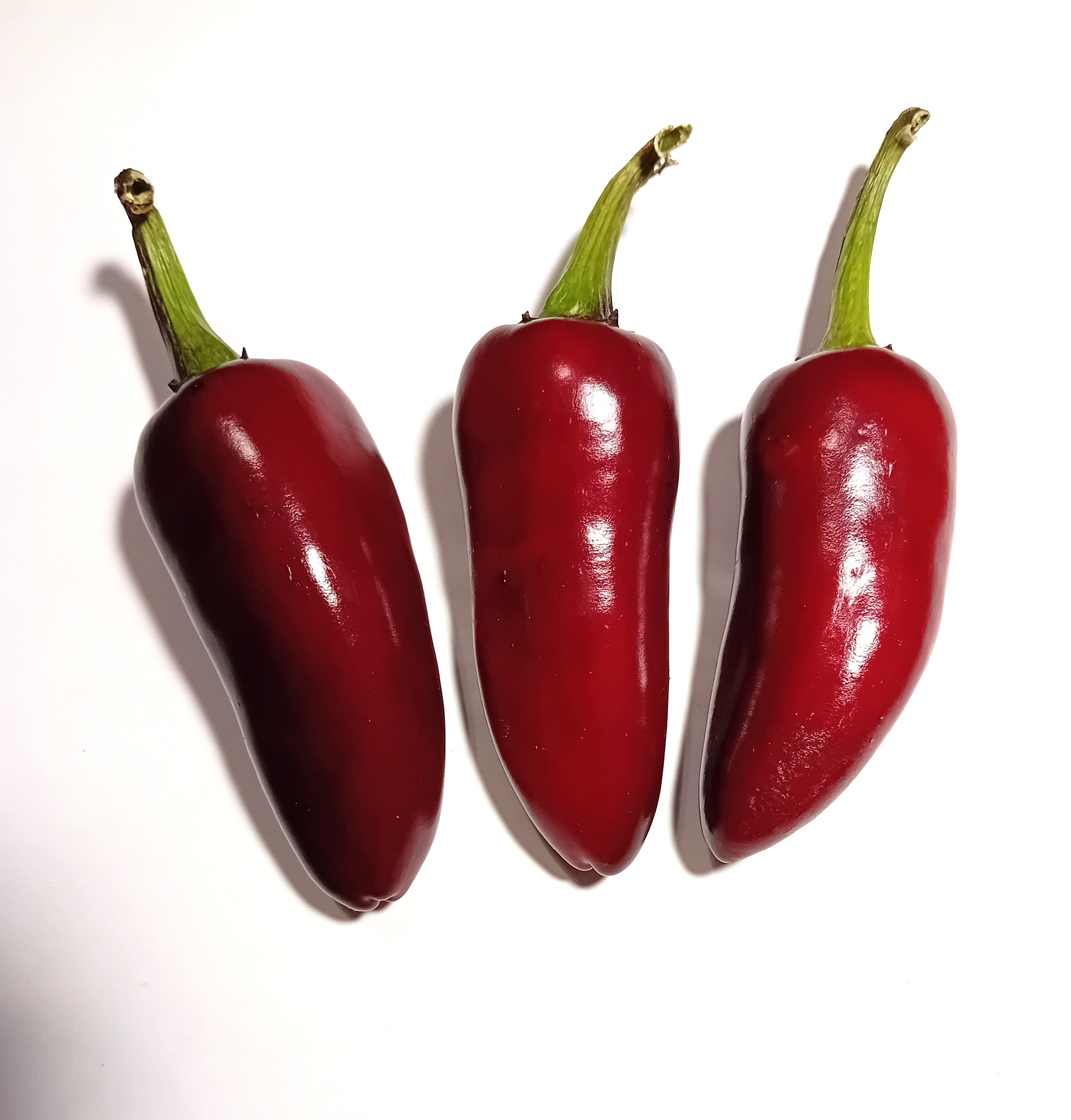 Seminţe Ardei - Jalapeno Purple