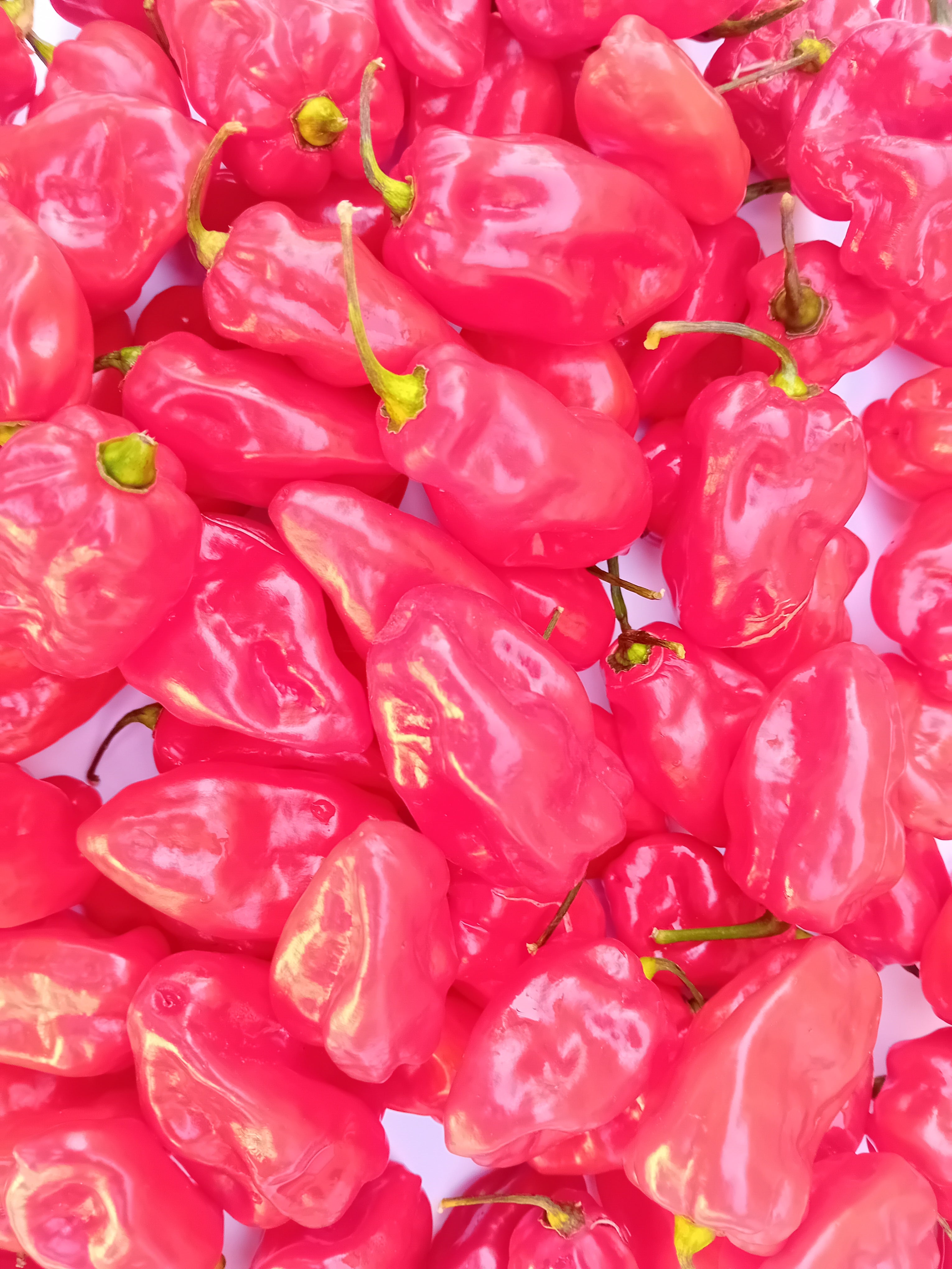 Seminţe Ardei - Habanero Tobago Seasoning