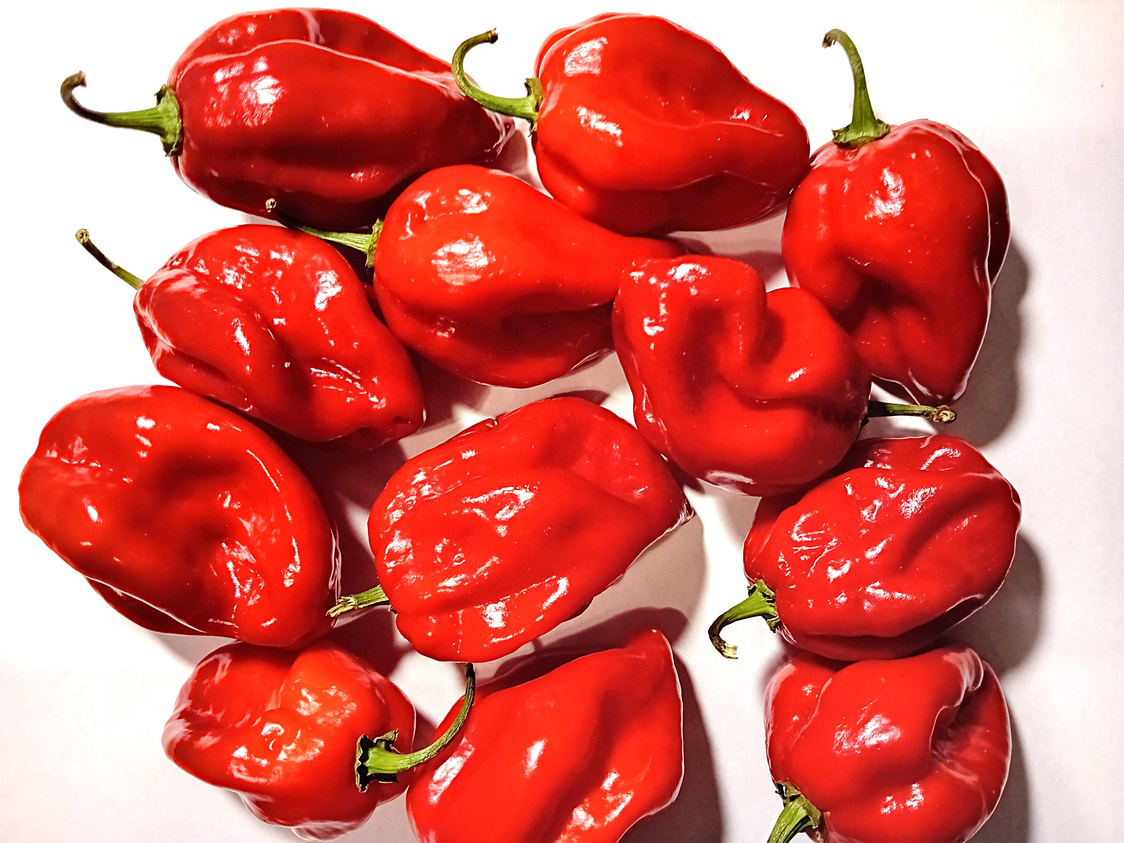 Seminţe Ardei - Habanero Red