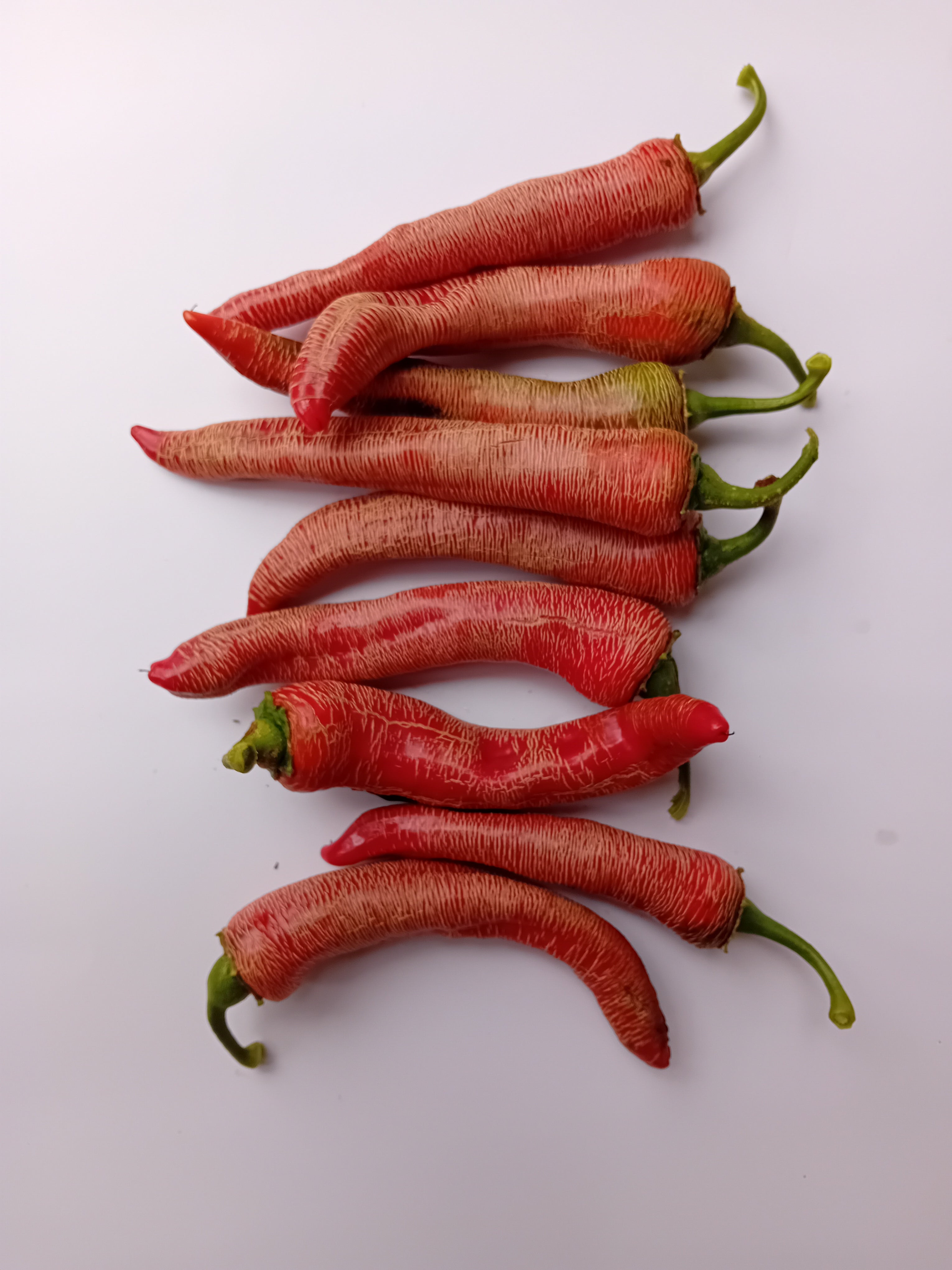 Seminţe Ardei - Vezenka