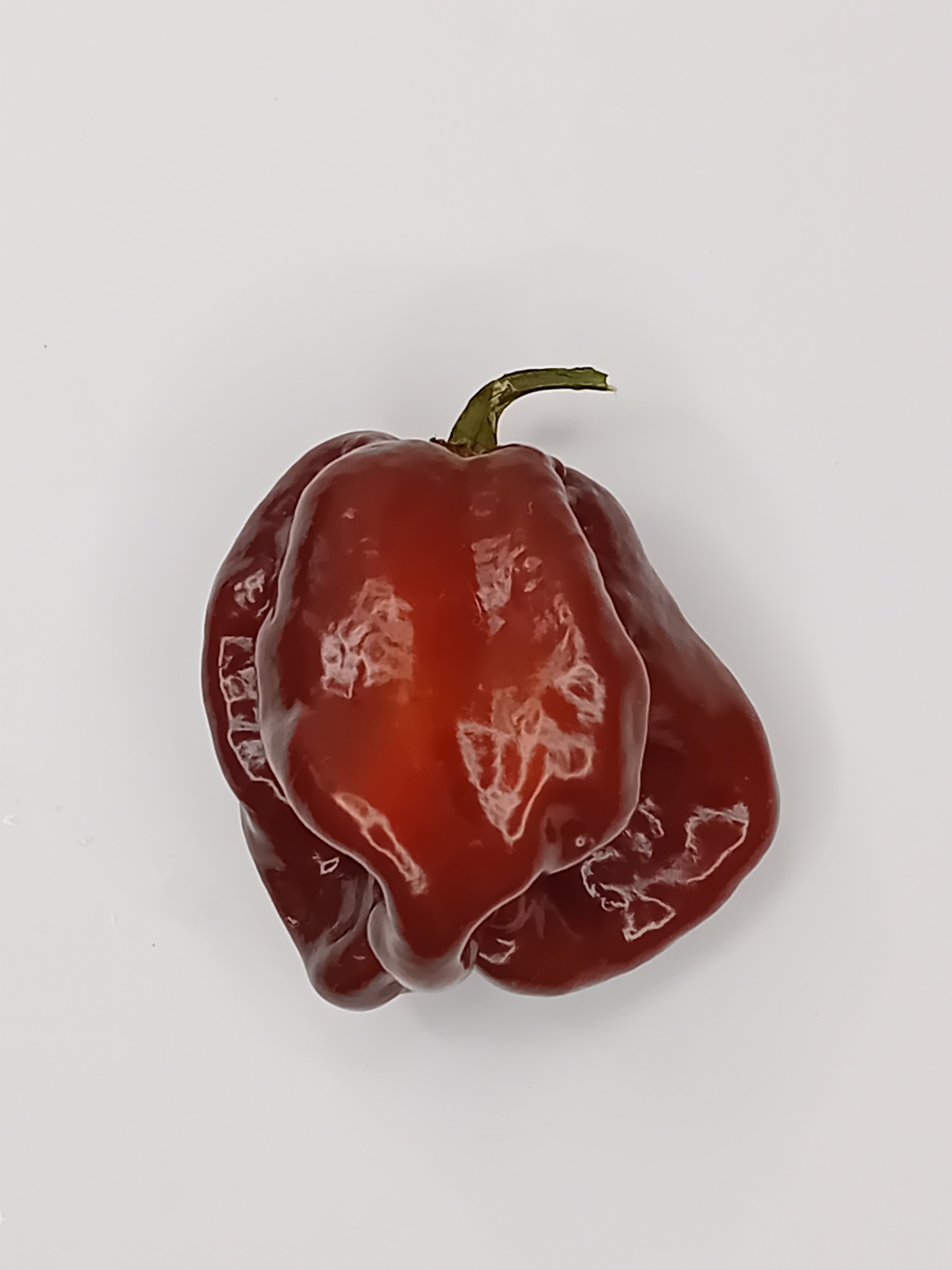 Seminţe Ardei - Guadalupe Black