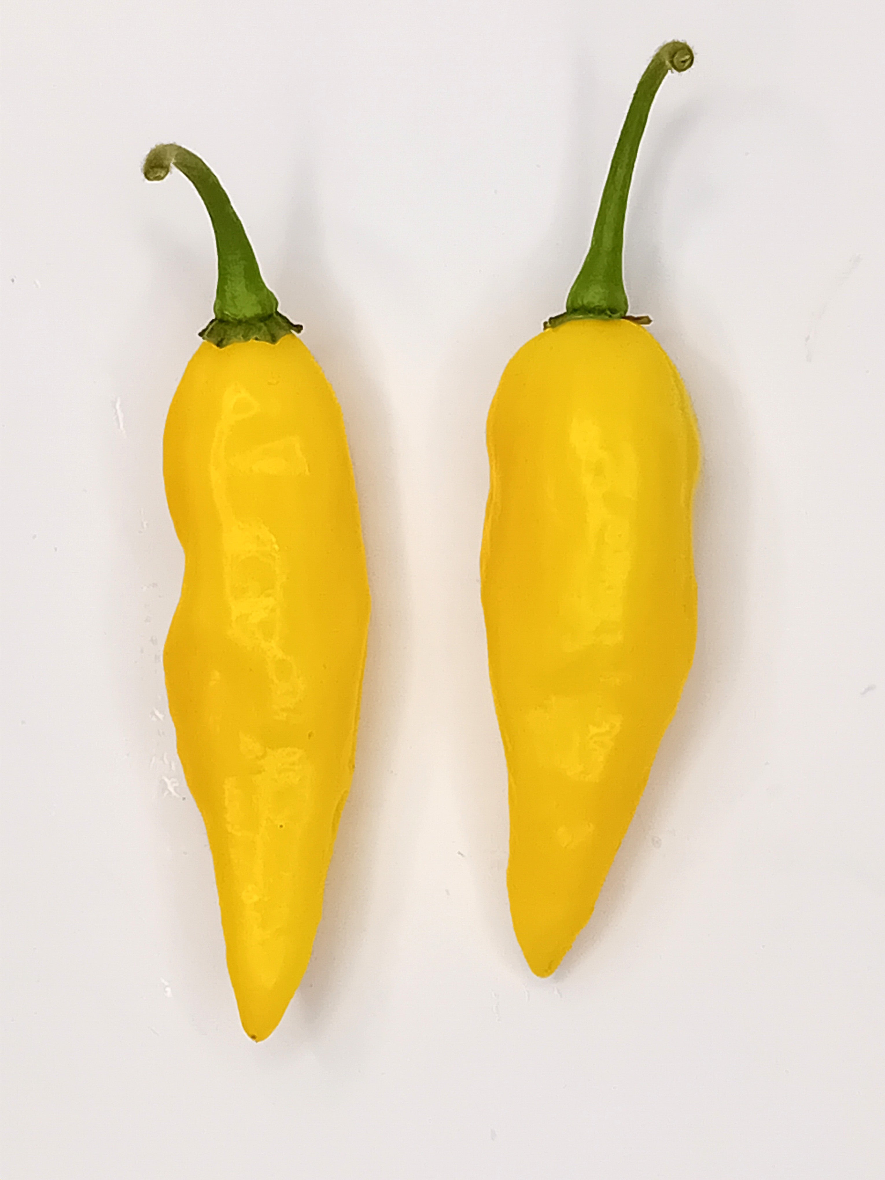 Răsad Ardei - Aji Lemon