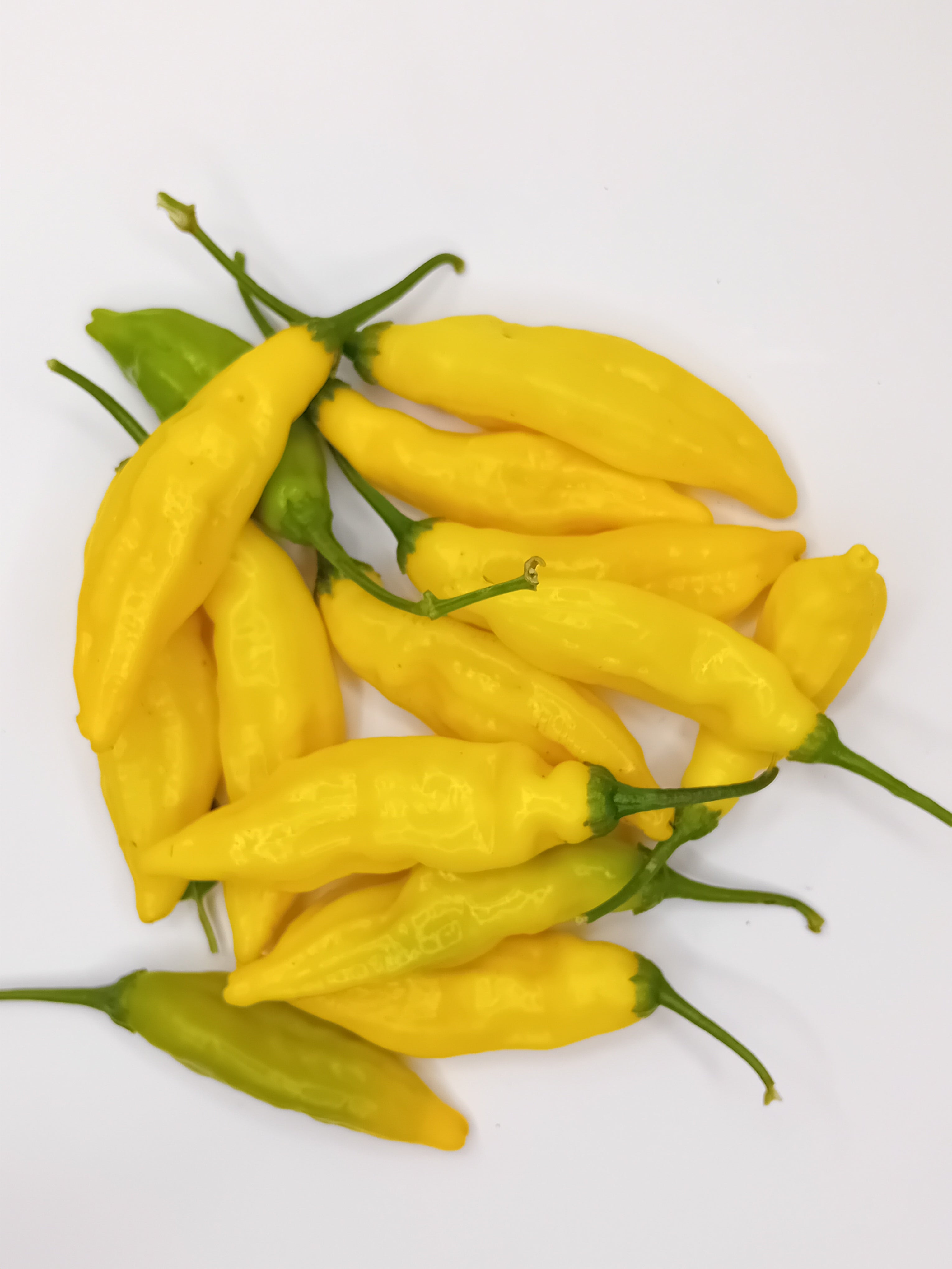 Răsad Ardei - Aji Pineapple