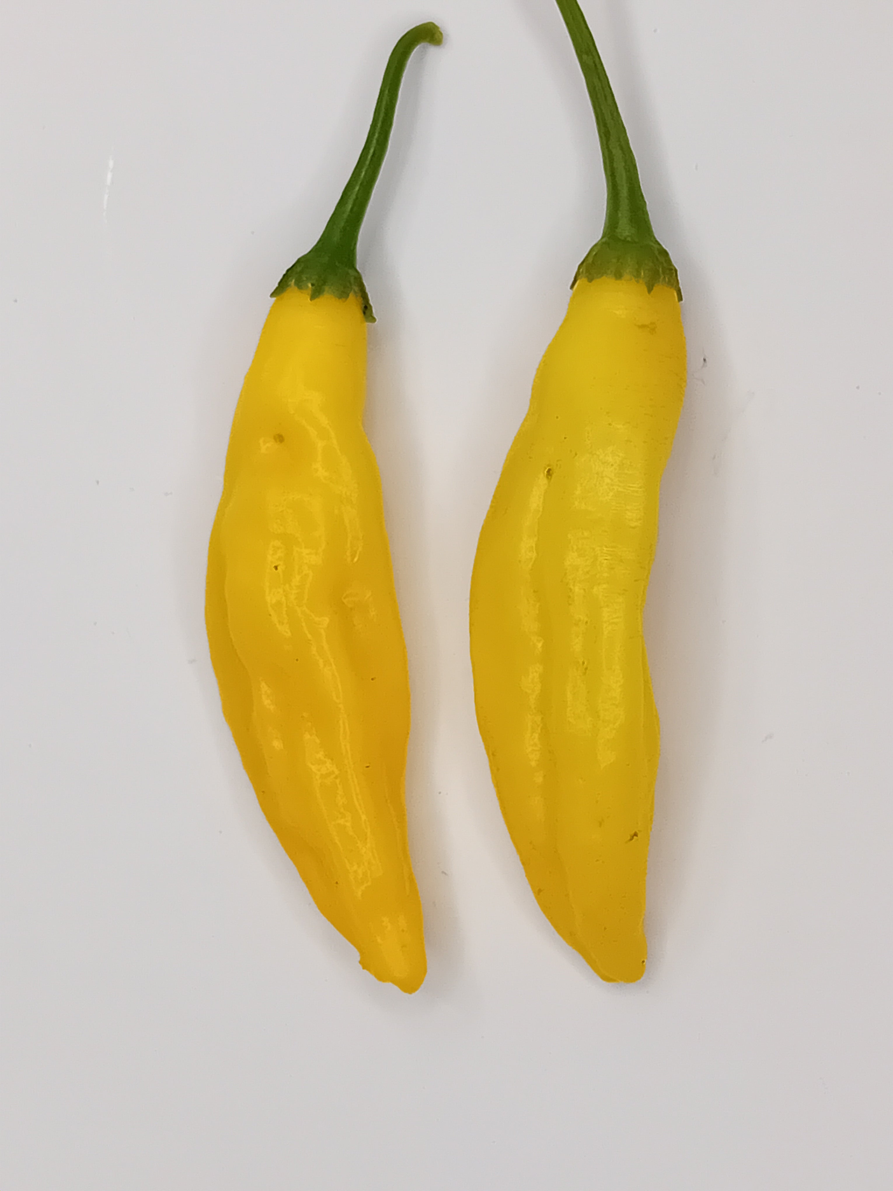 Răsad Ardei - Aji Pineapple