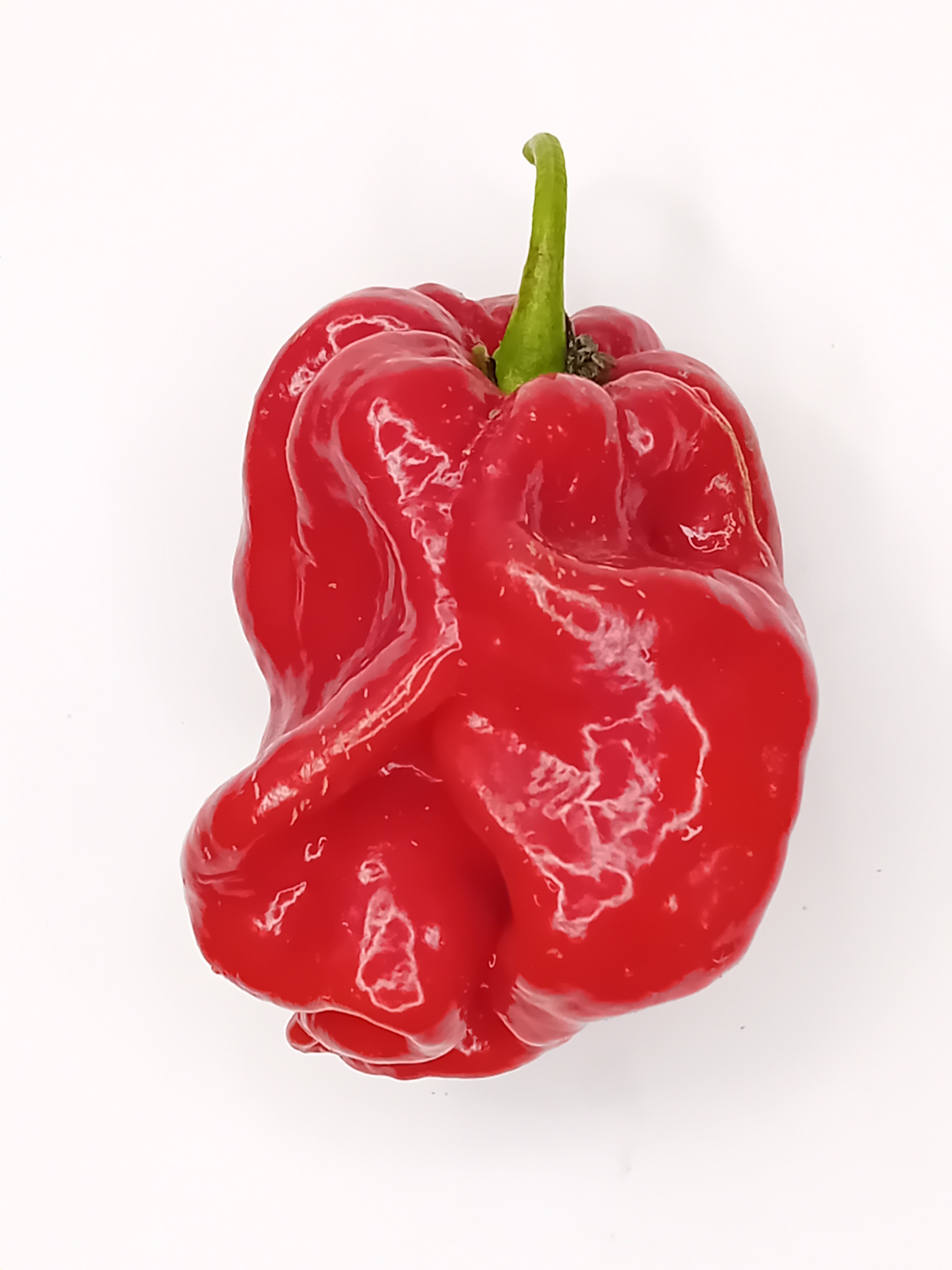 Răsad Ardei - Aji Umba Red