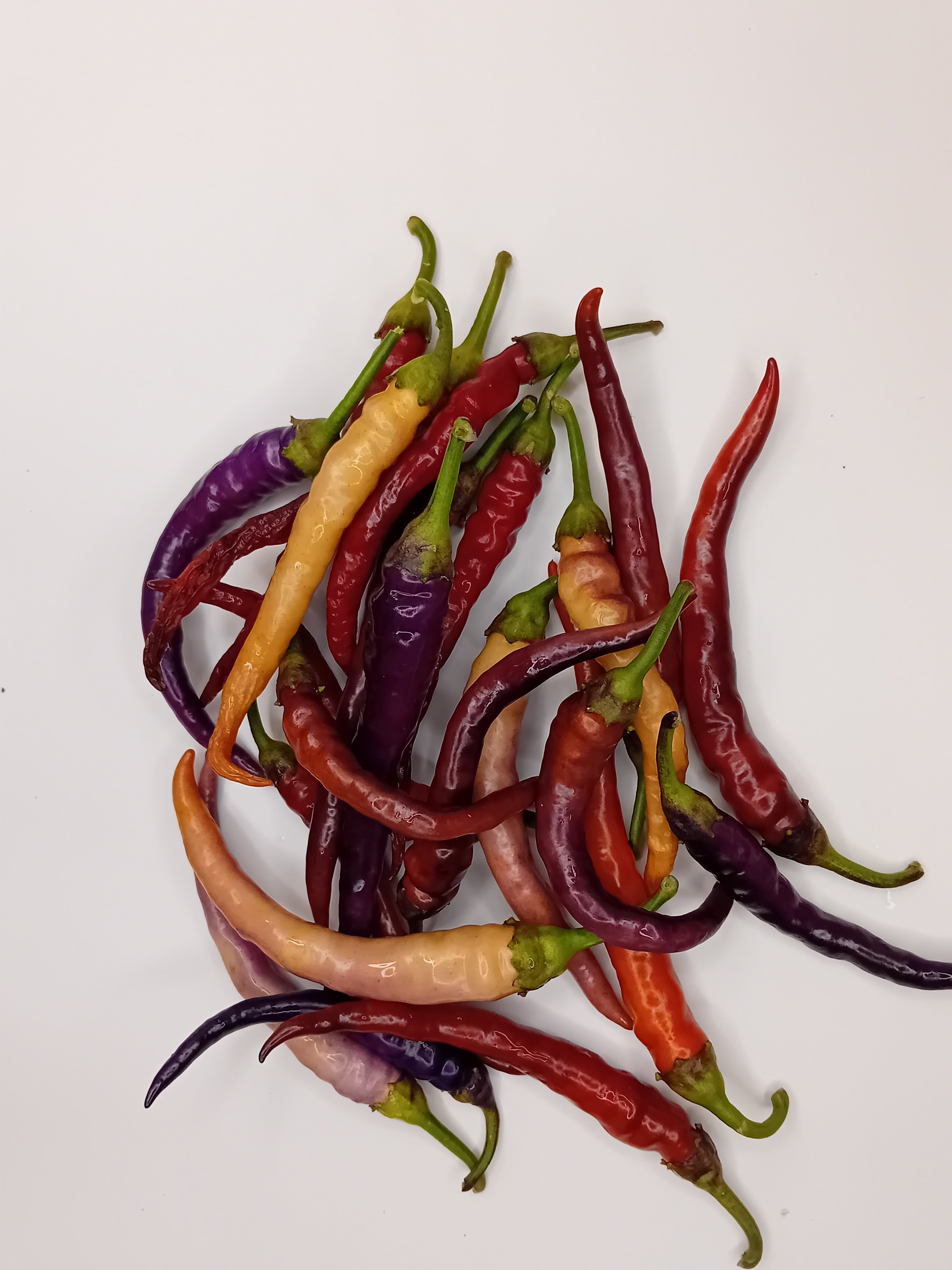 Seminţe Ardei - Murupi Purple