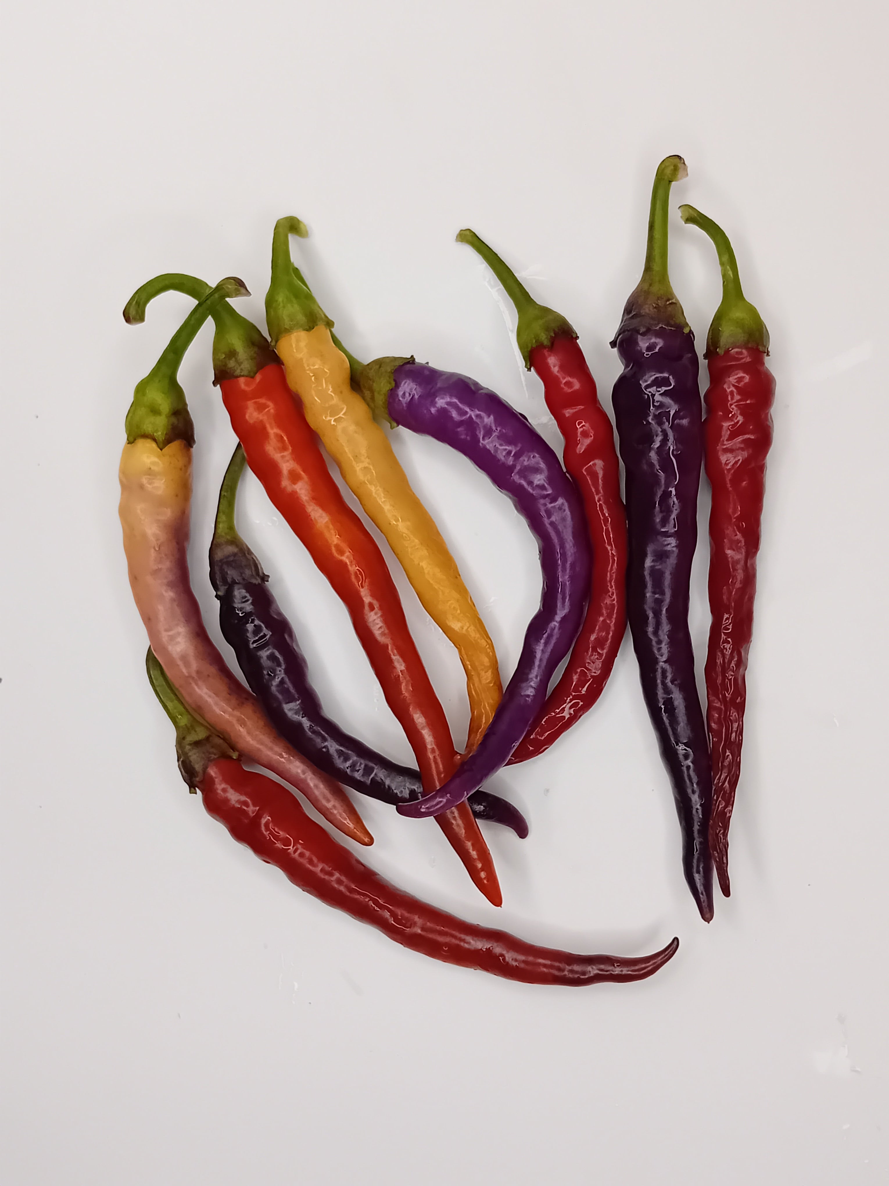 Seminţe Ardei - Murupi Purple