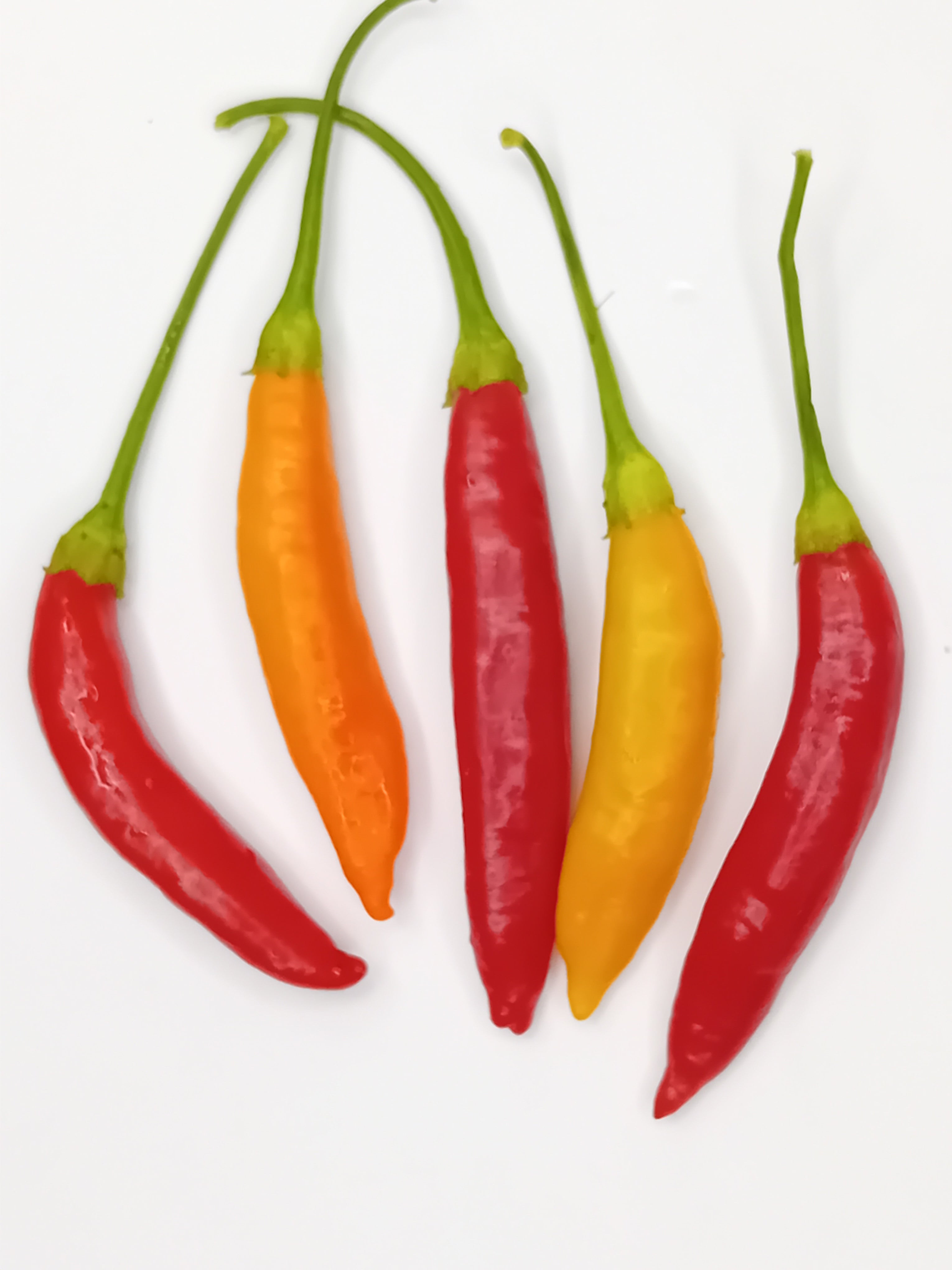 Răsad Ardei - Aji Peruvian