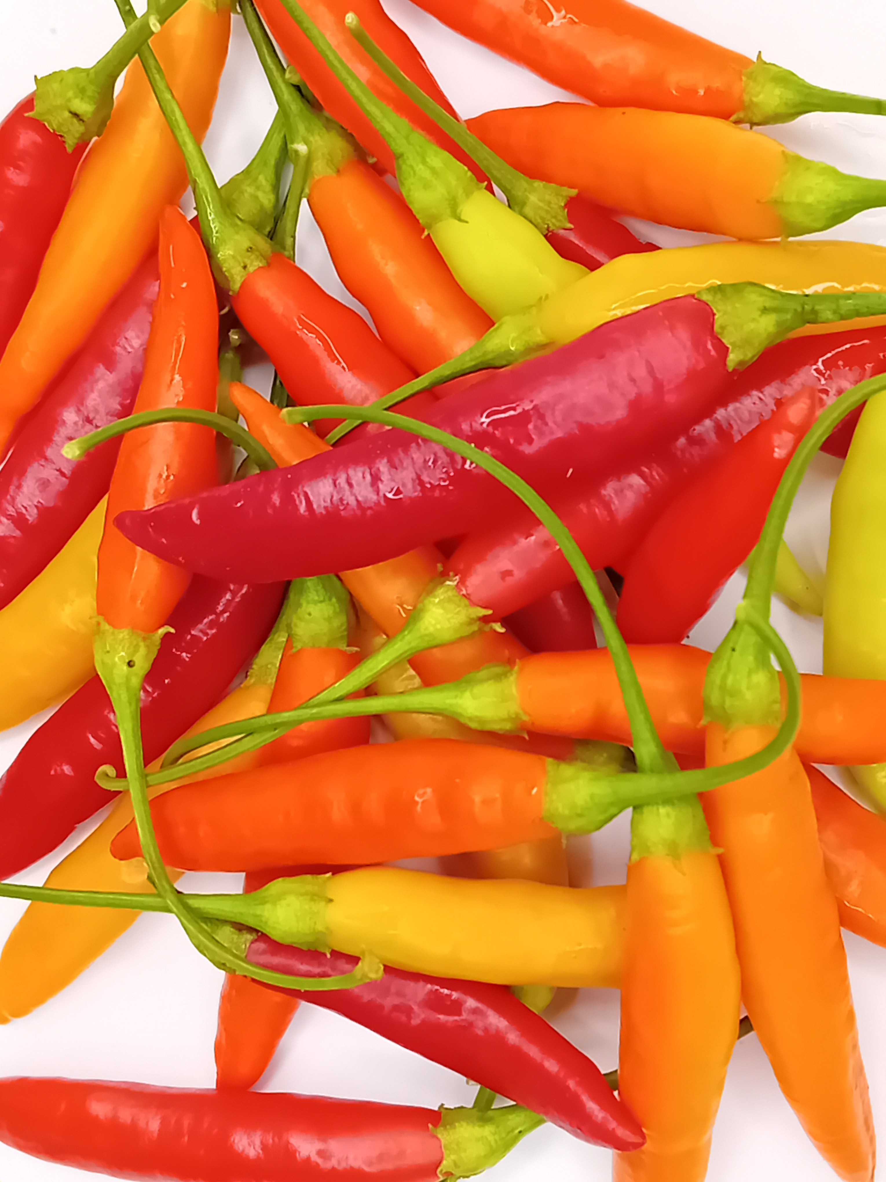 Răsad Ardei - Aji Peruvian