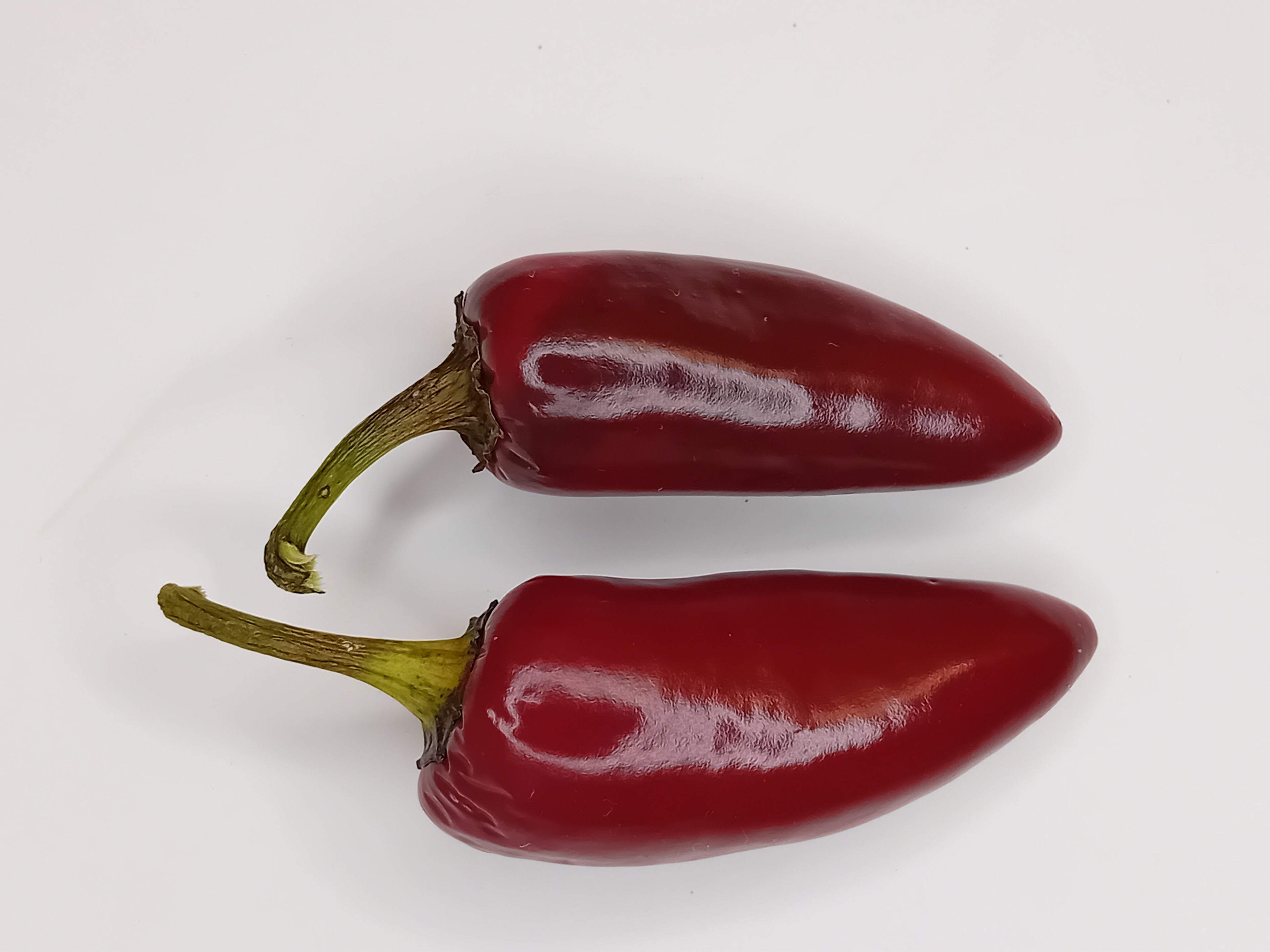 Seminţe Ardei - Vampire