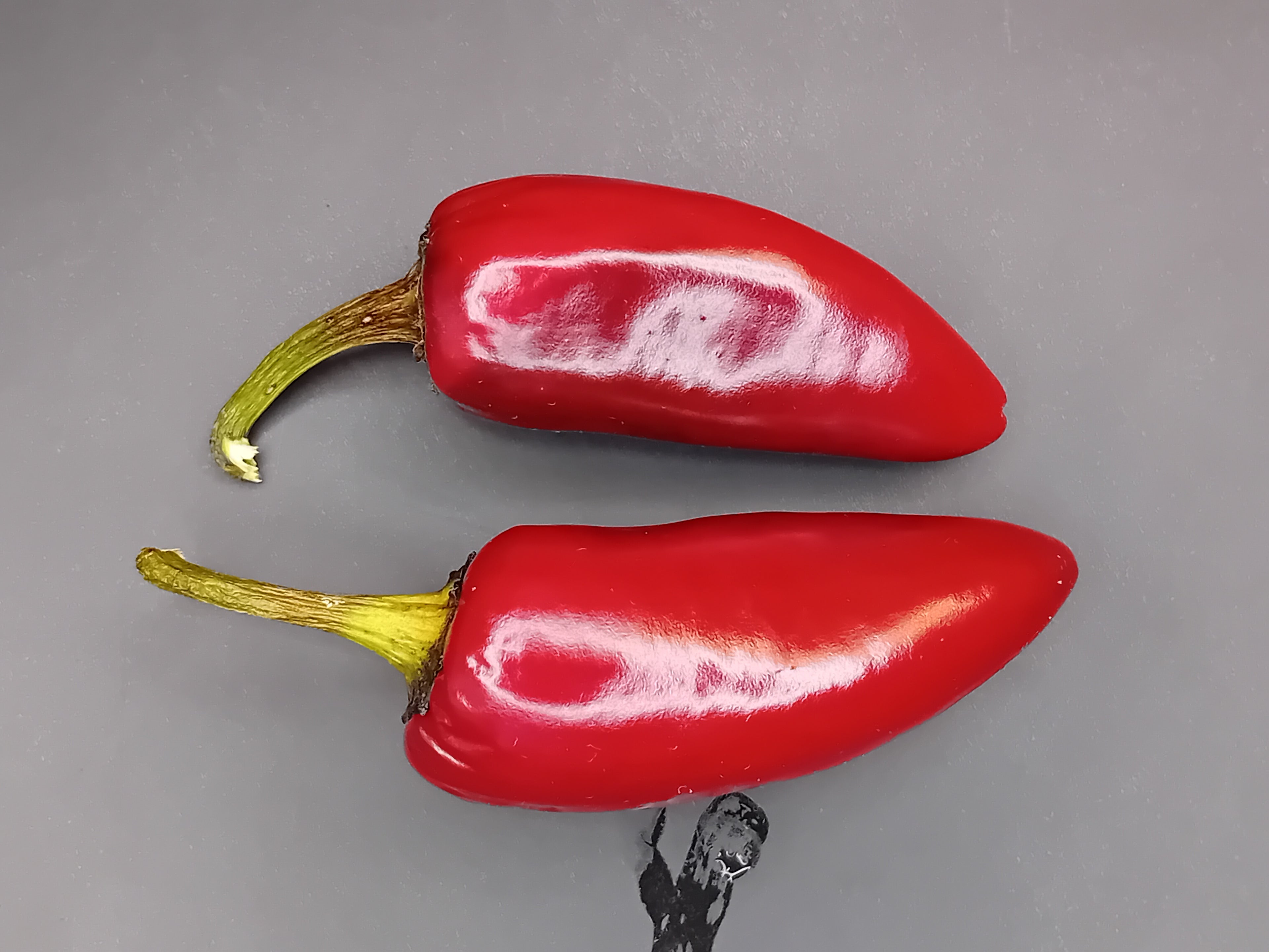 Seminţe Ardei - Vampire