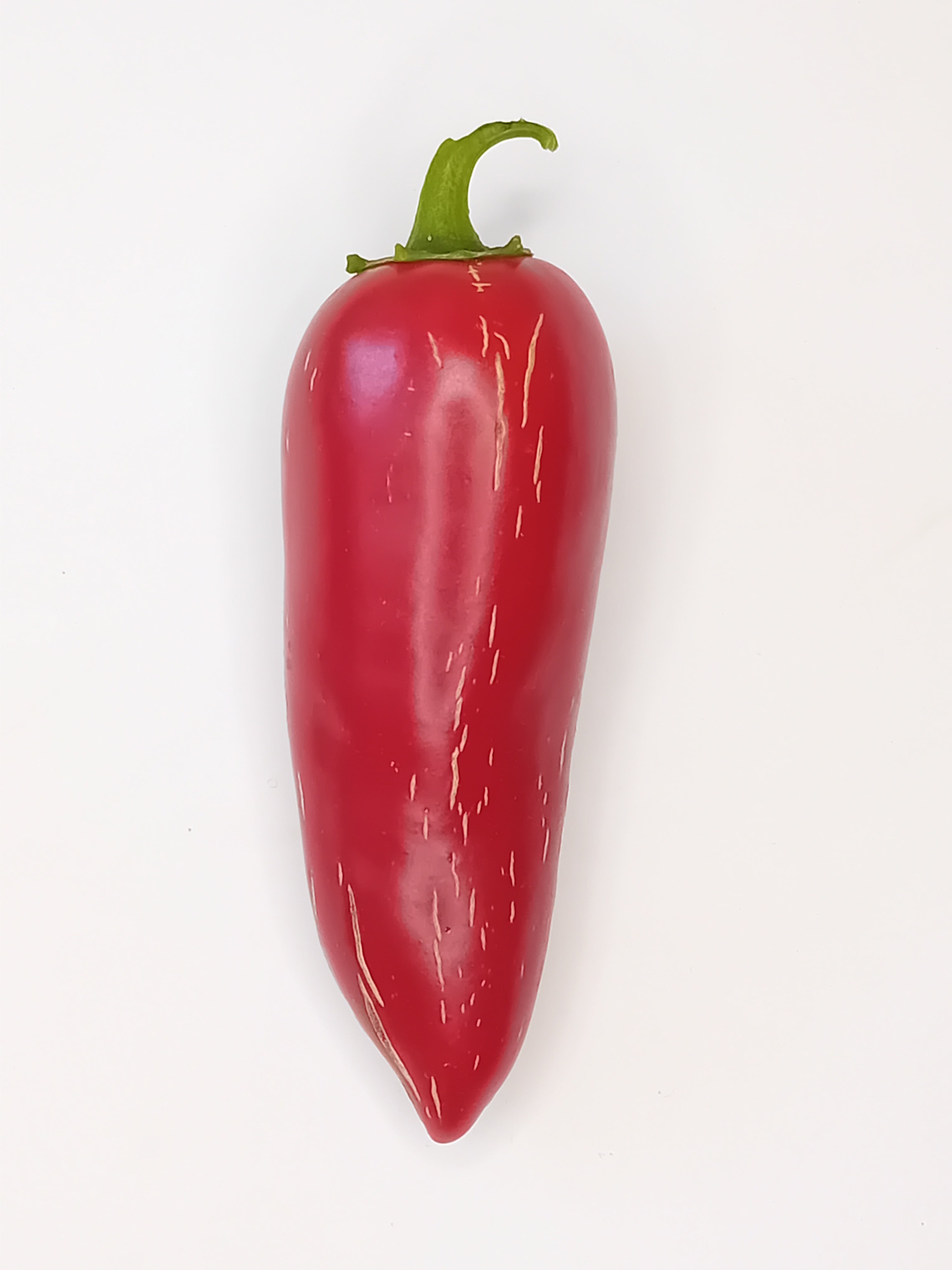 Seminţe Ardei - Jalapeno Biker Billy