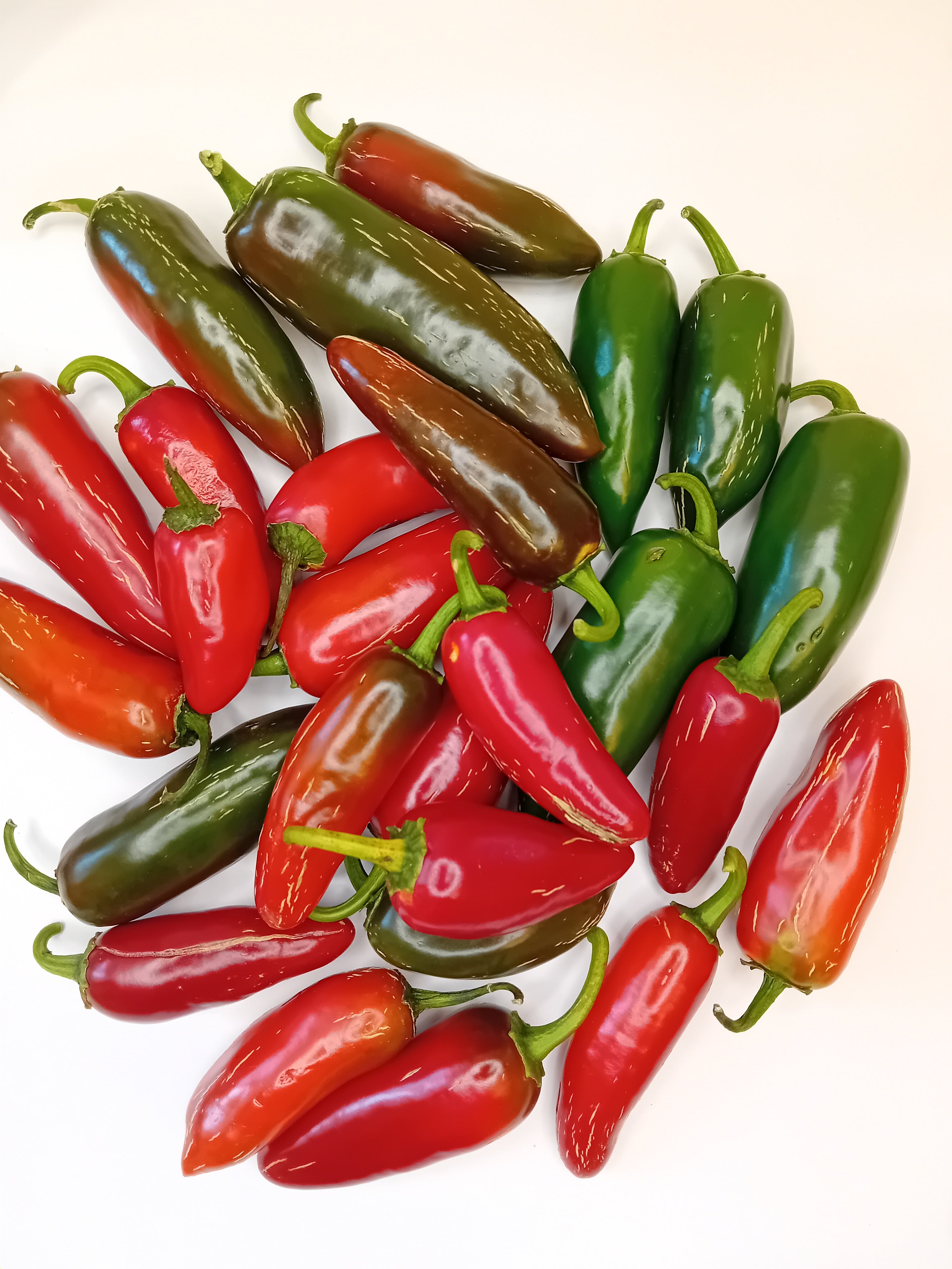 Seminţe Ardei - Jalapeno Biker Billy