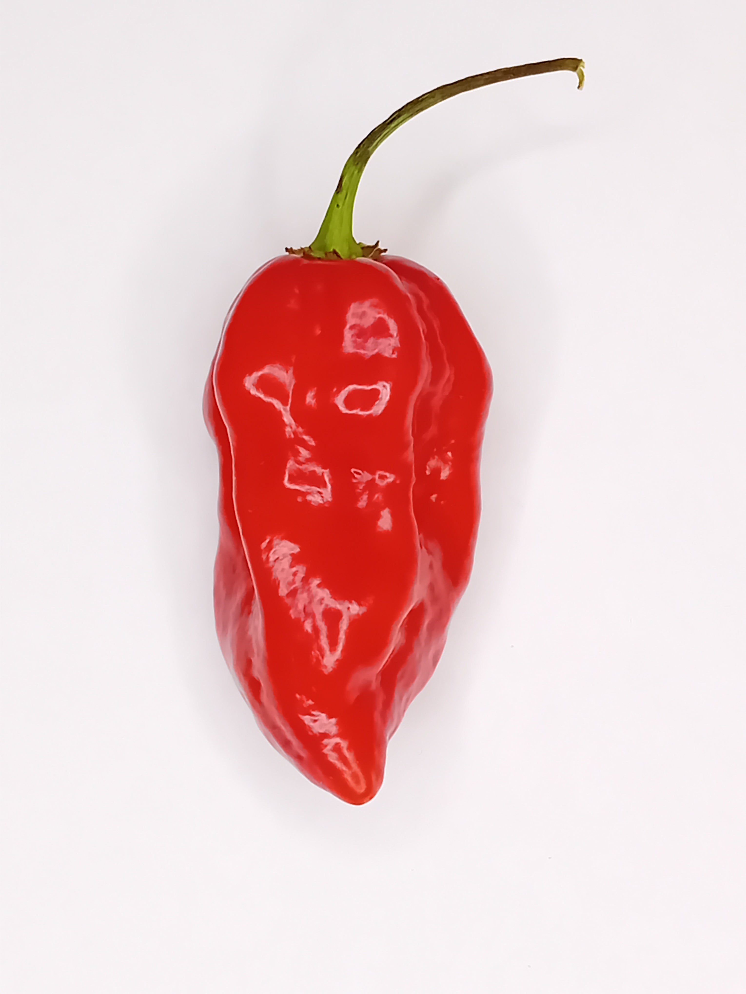 Seminţe Ardei - Scotch Bonnet Trinidad Red