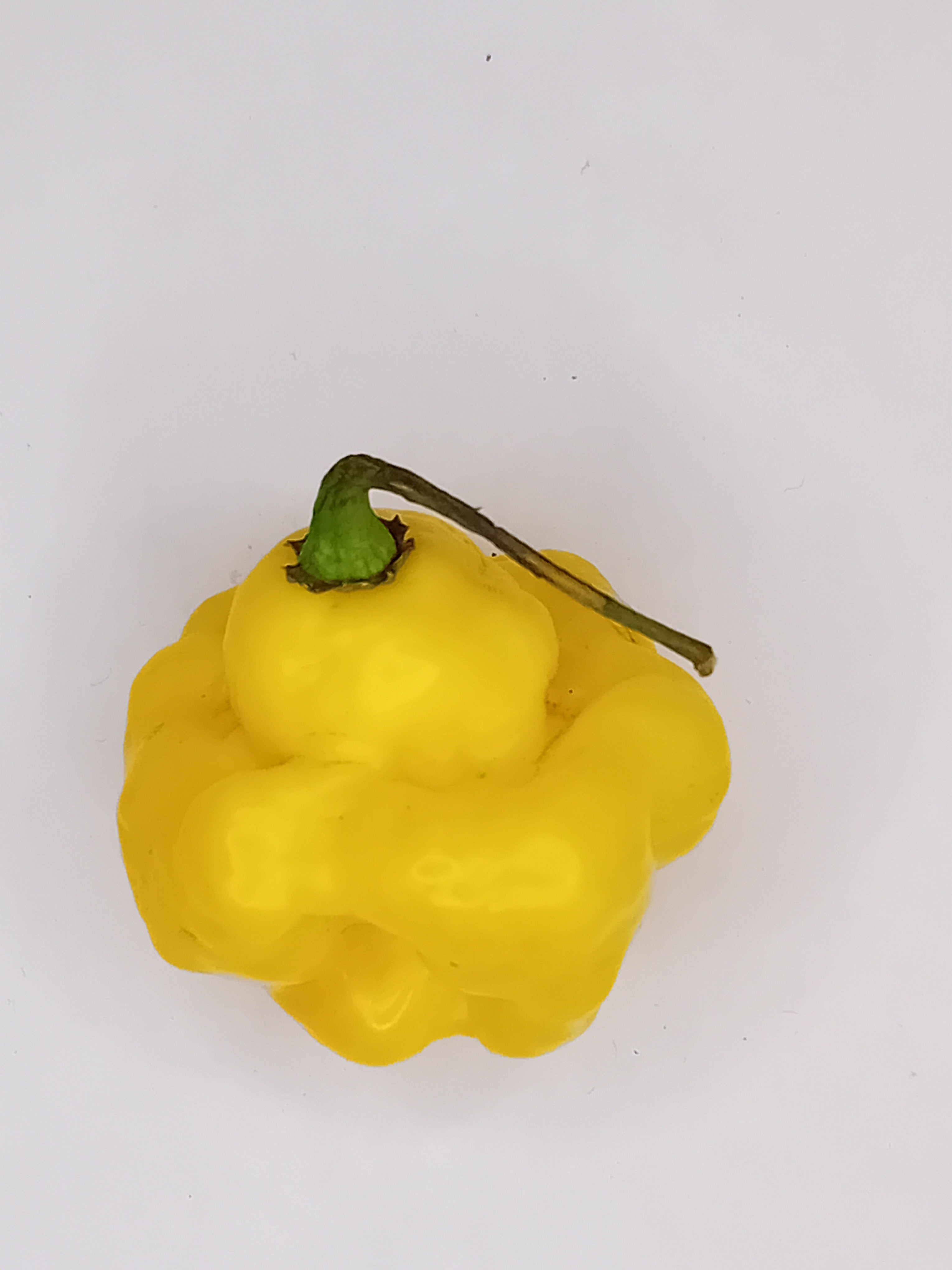 Seminţe Ardei - Jamaican Scotch Bonnet Yellow