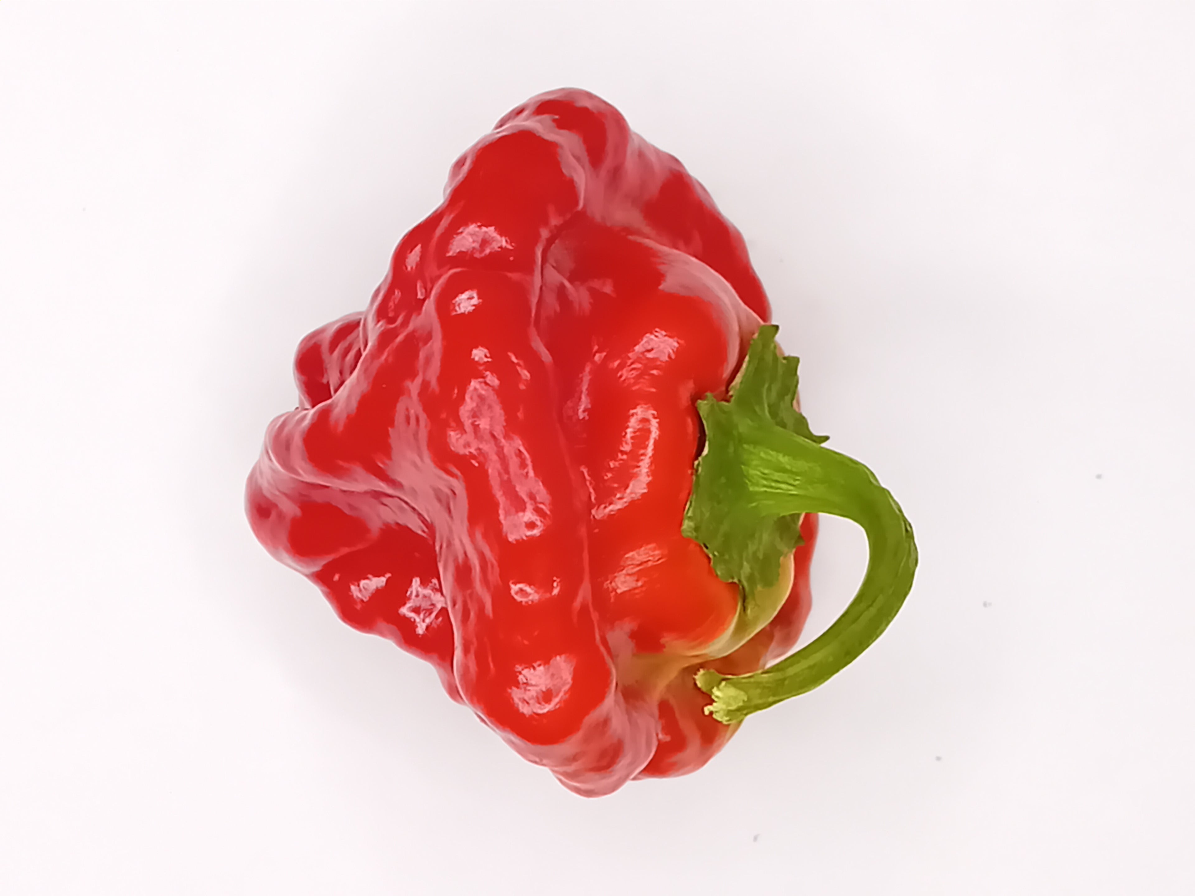 Seminţe Ardei - Jamaican Scotch Bonnet Red