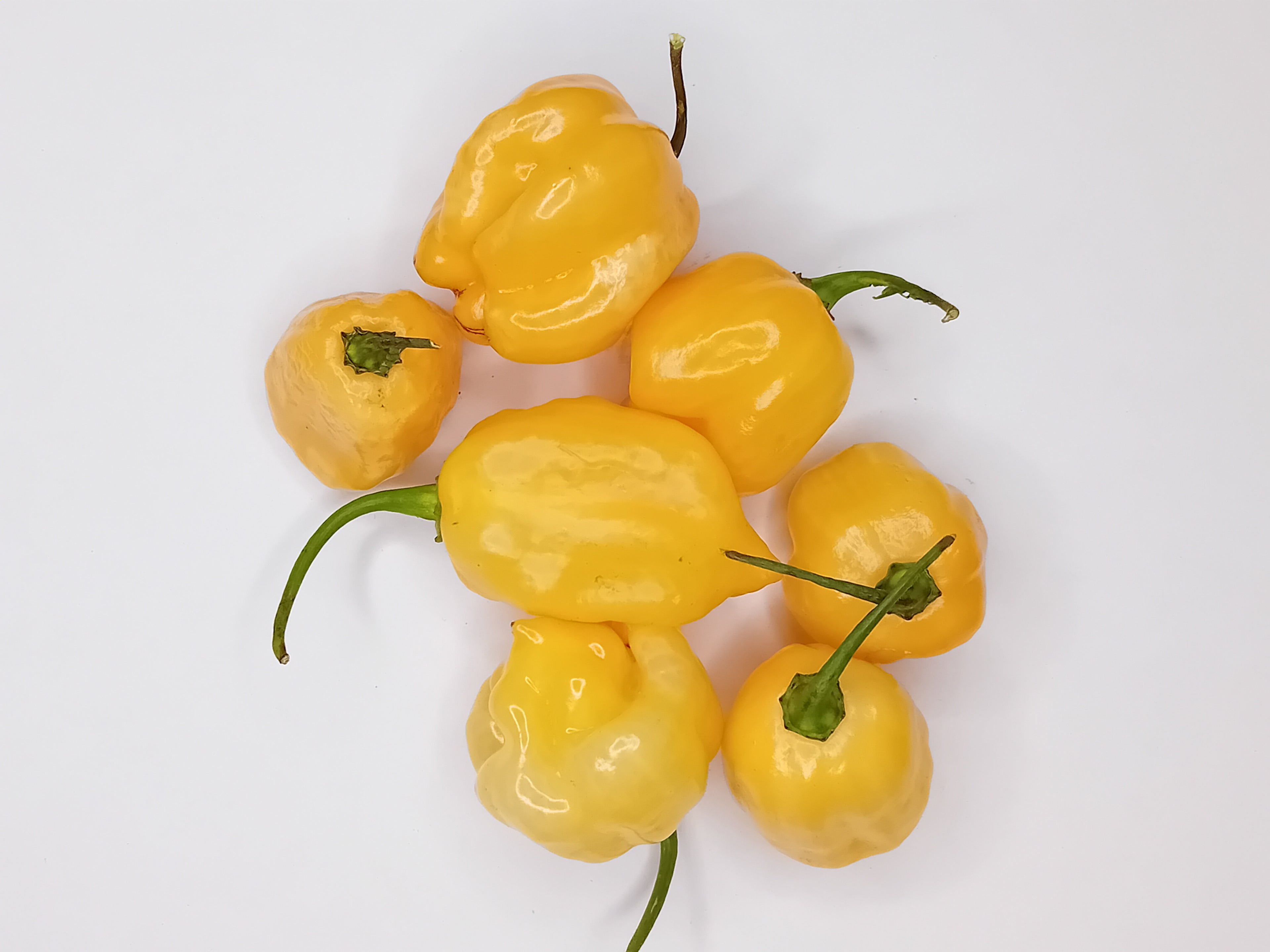 Ardei proaspăt Habanero White