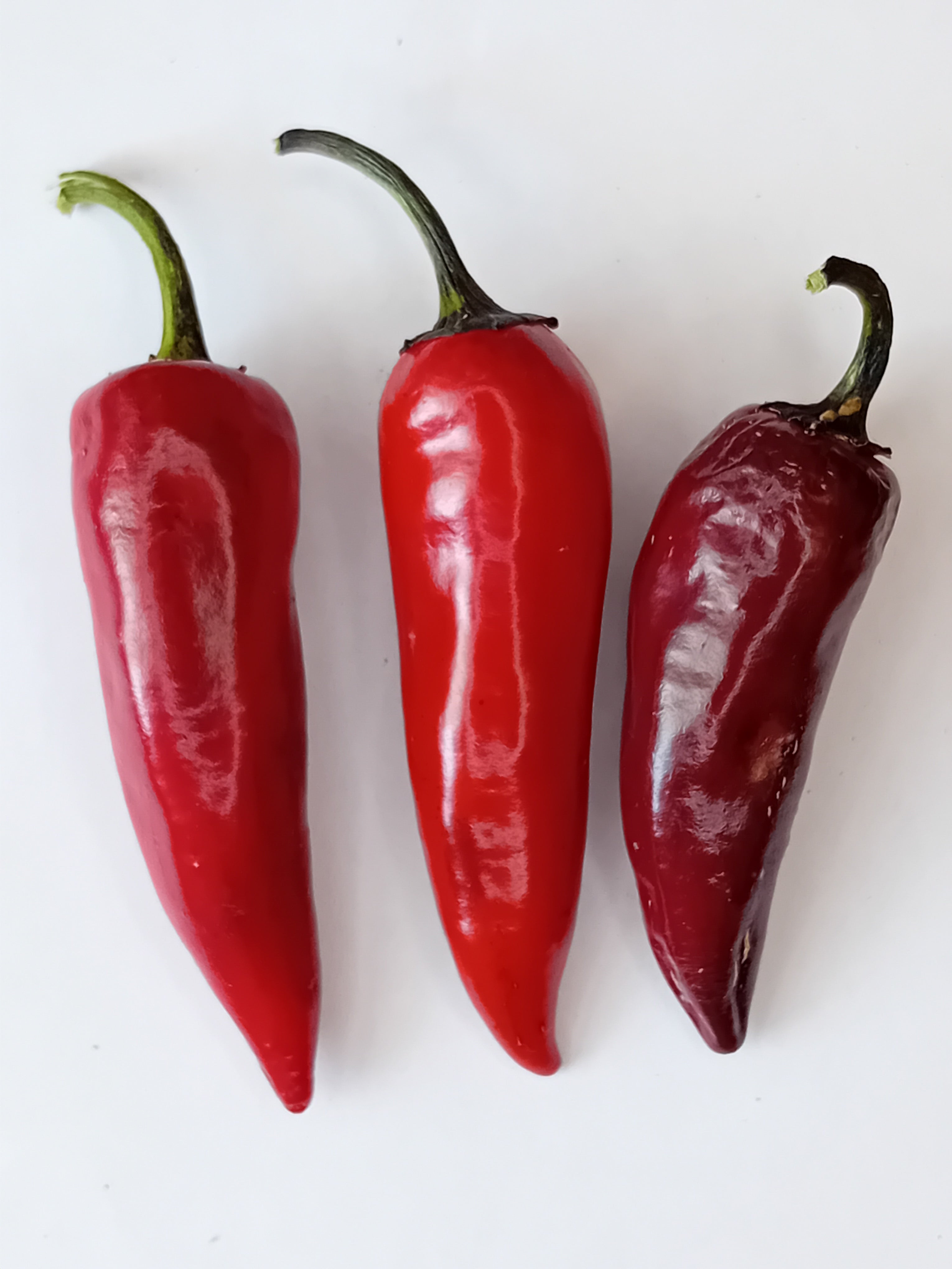 Seminţe Ardei - Vampire