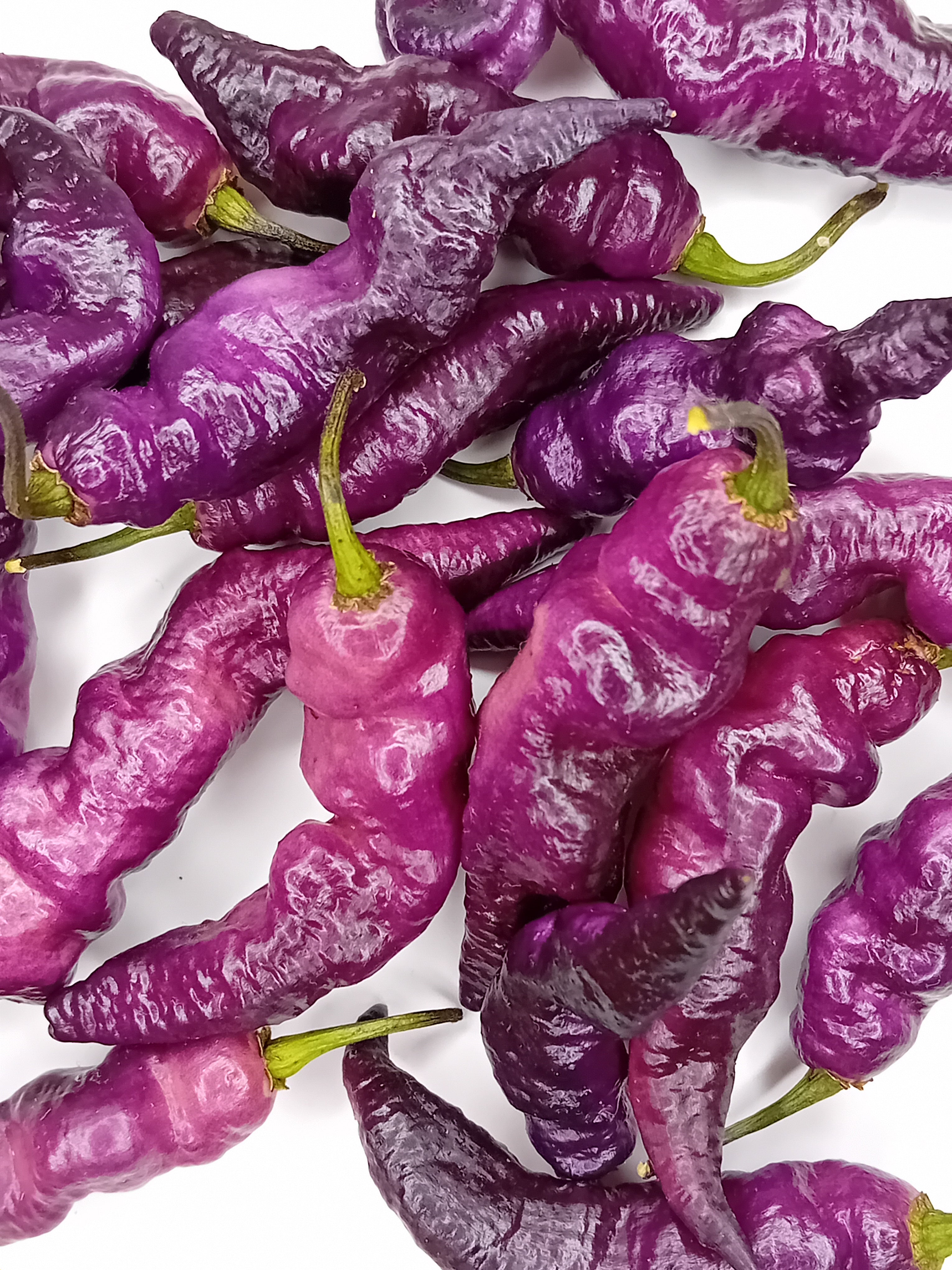 Seminţe Ardei - Pink Tiger