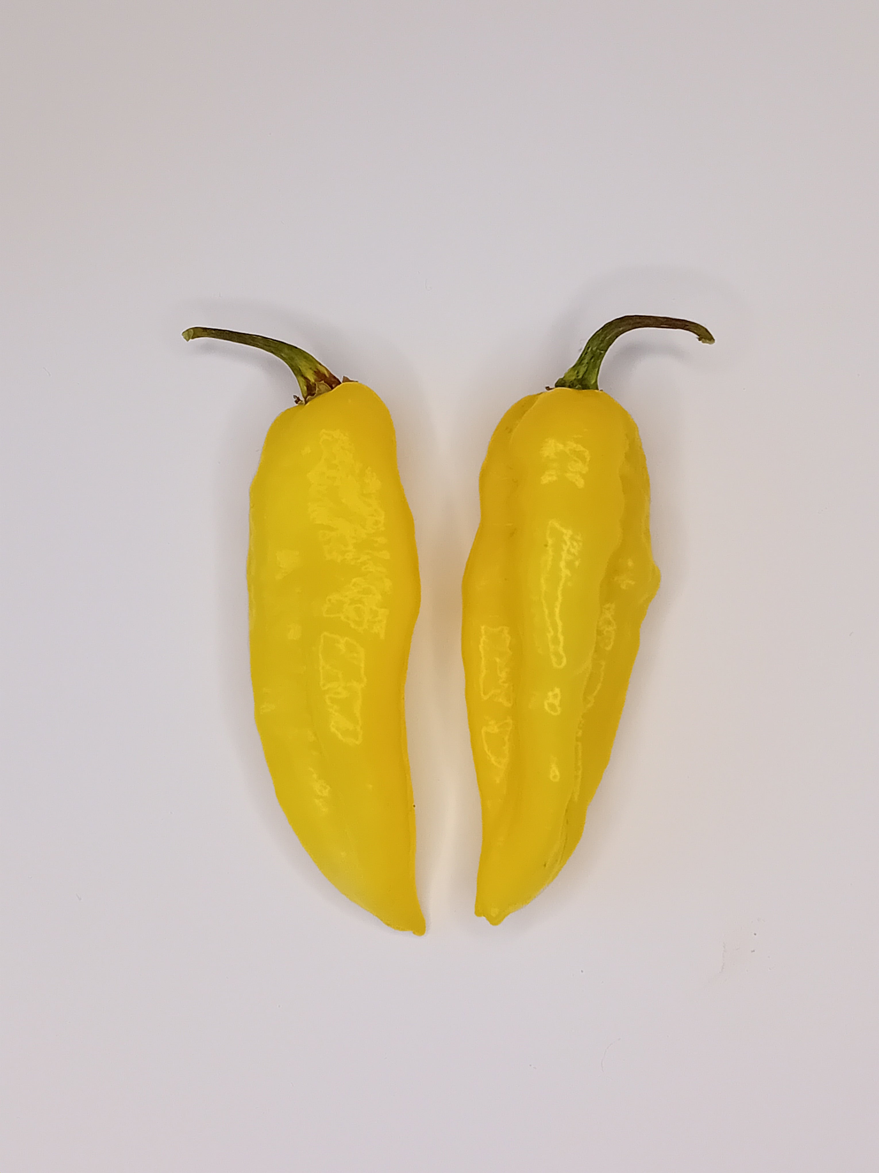 Seminţe Ardei - Naga Yellow