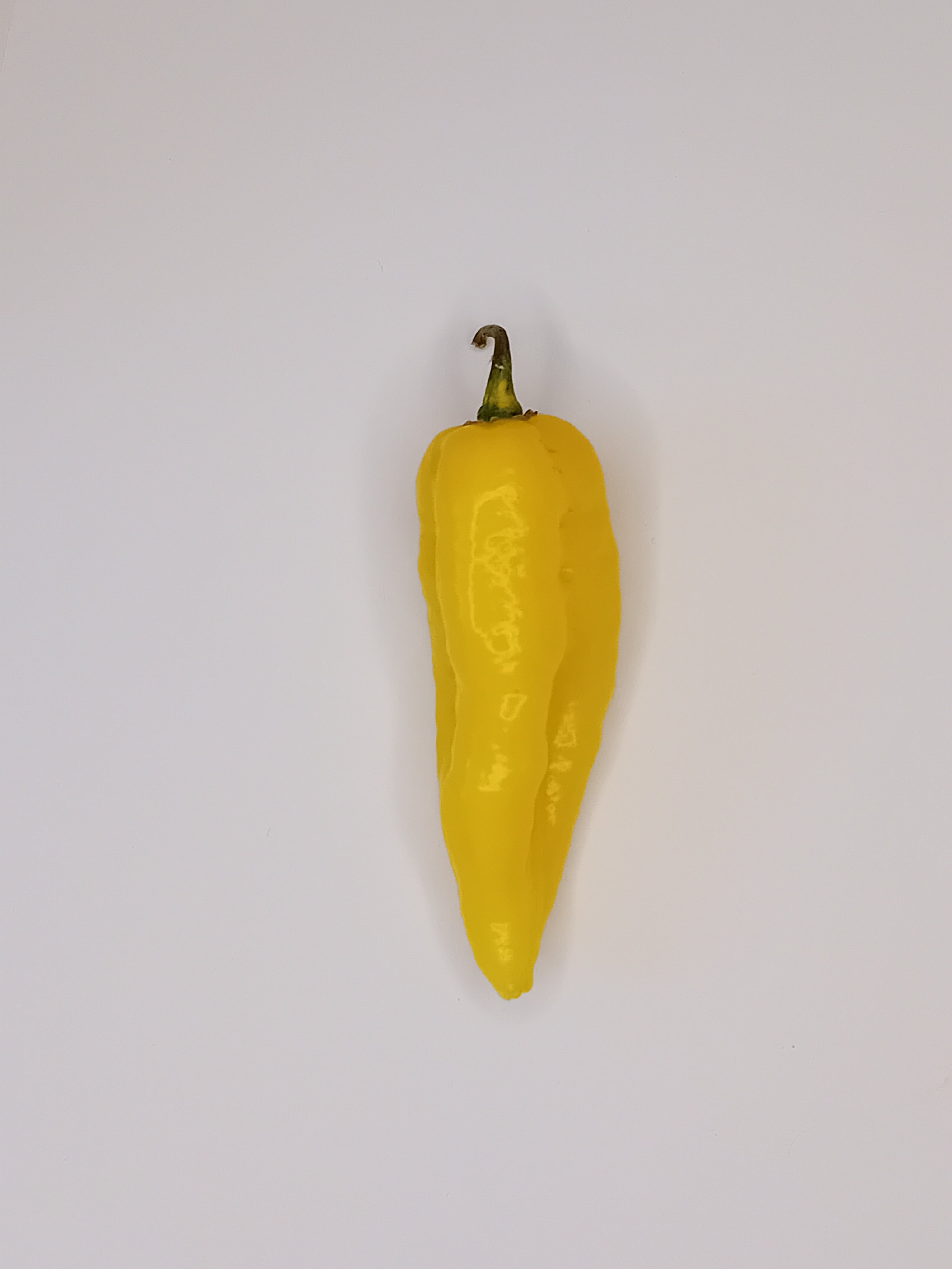 Seminţe Ardei - Naga Yellow