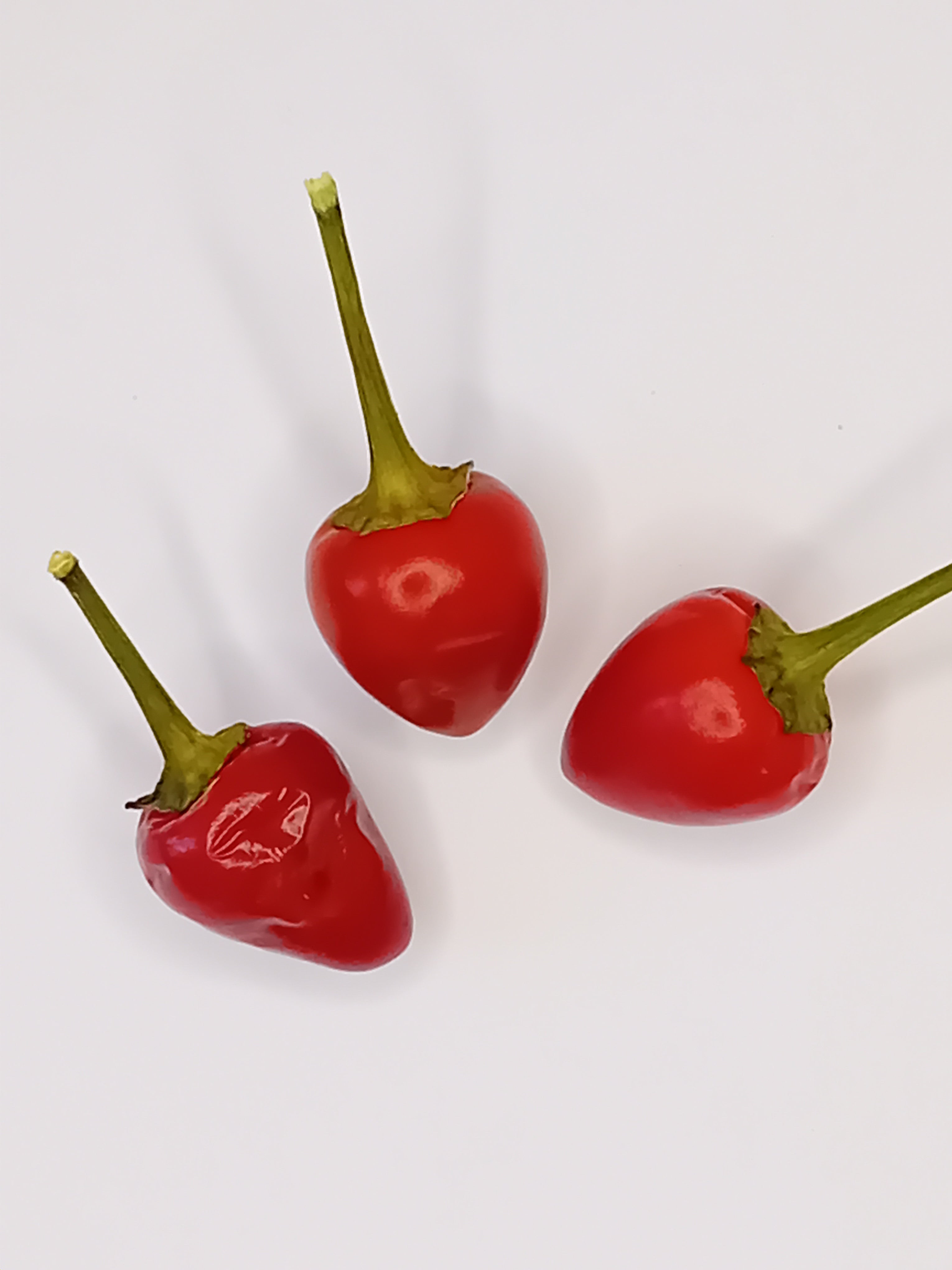 Răsad Ardei - Black Pearl