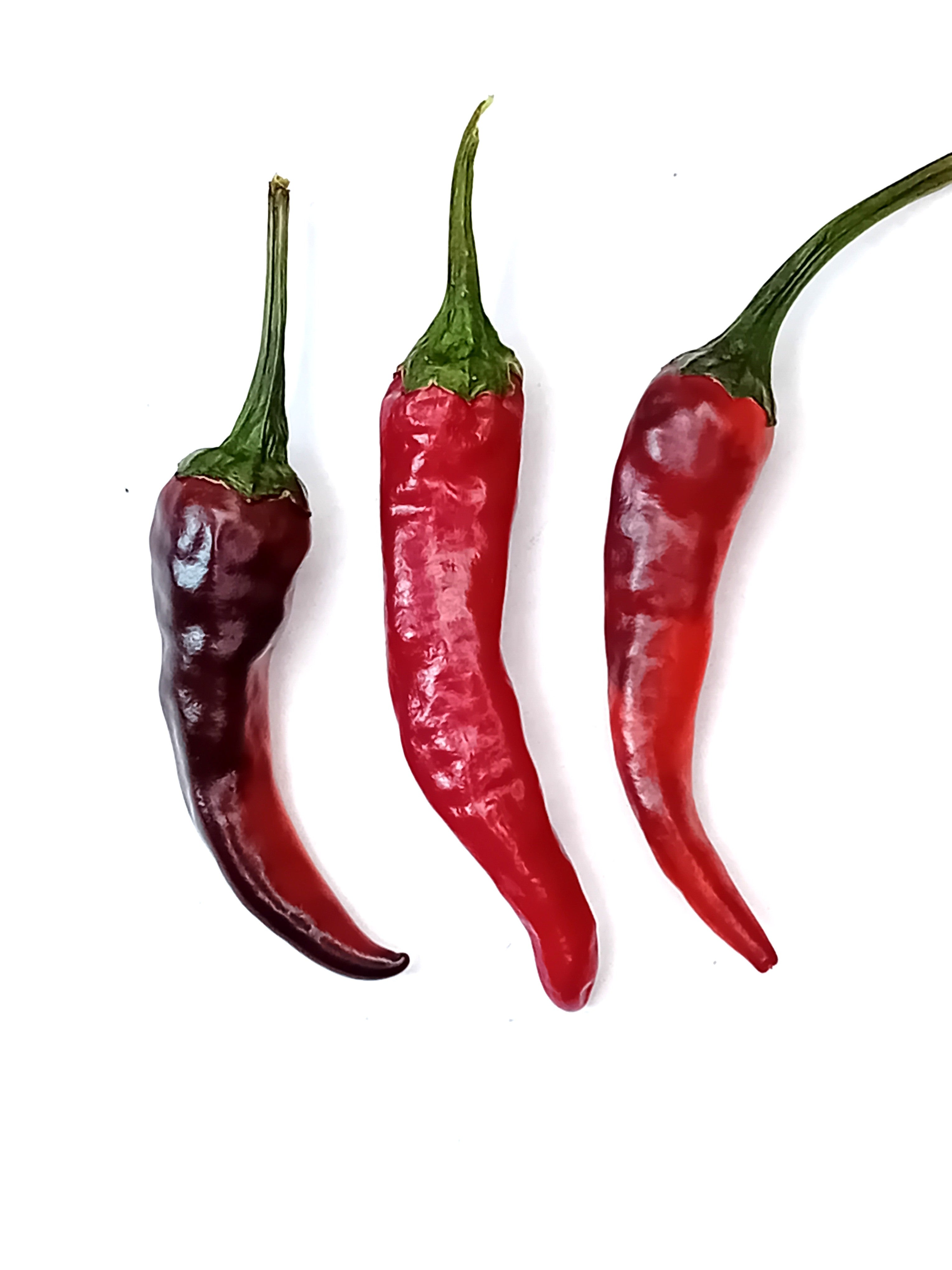 Răsad Ardei - Black Thai TQ