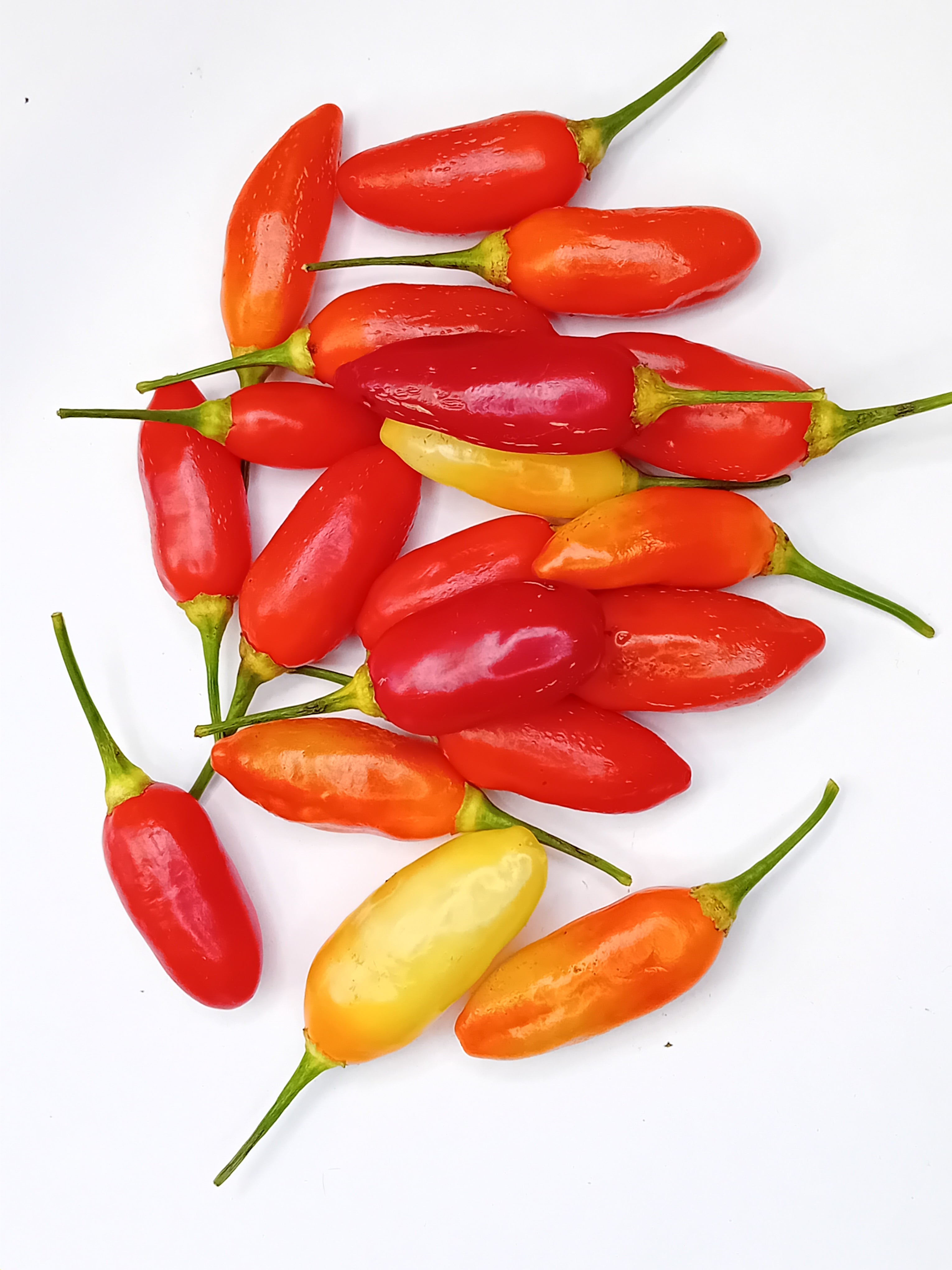 Răsad Ardei - Aji Huanuco