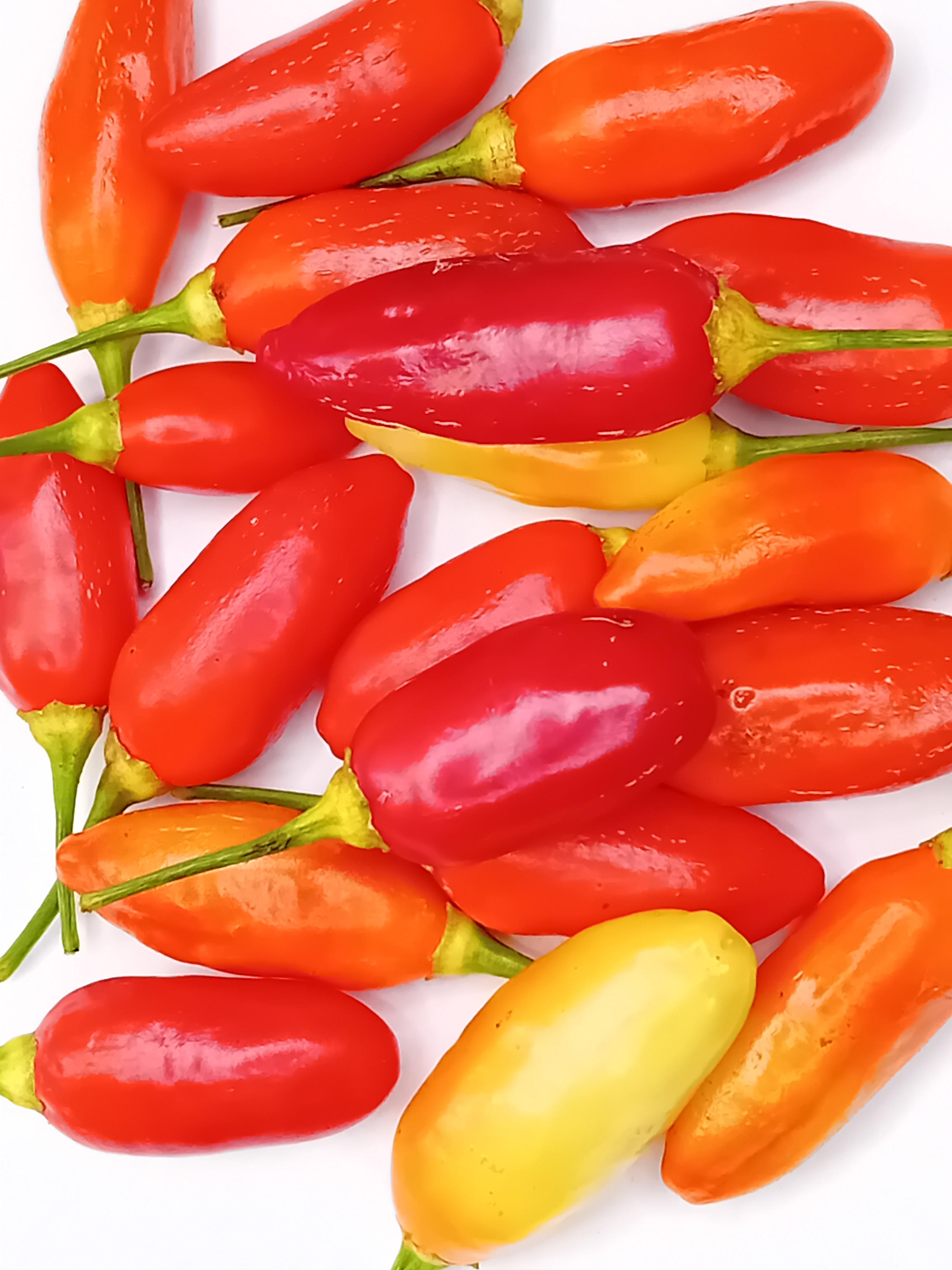 Răsad Ardei - Aji Huanuco