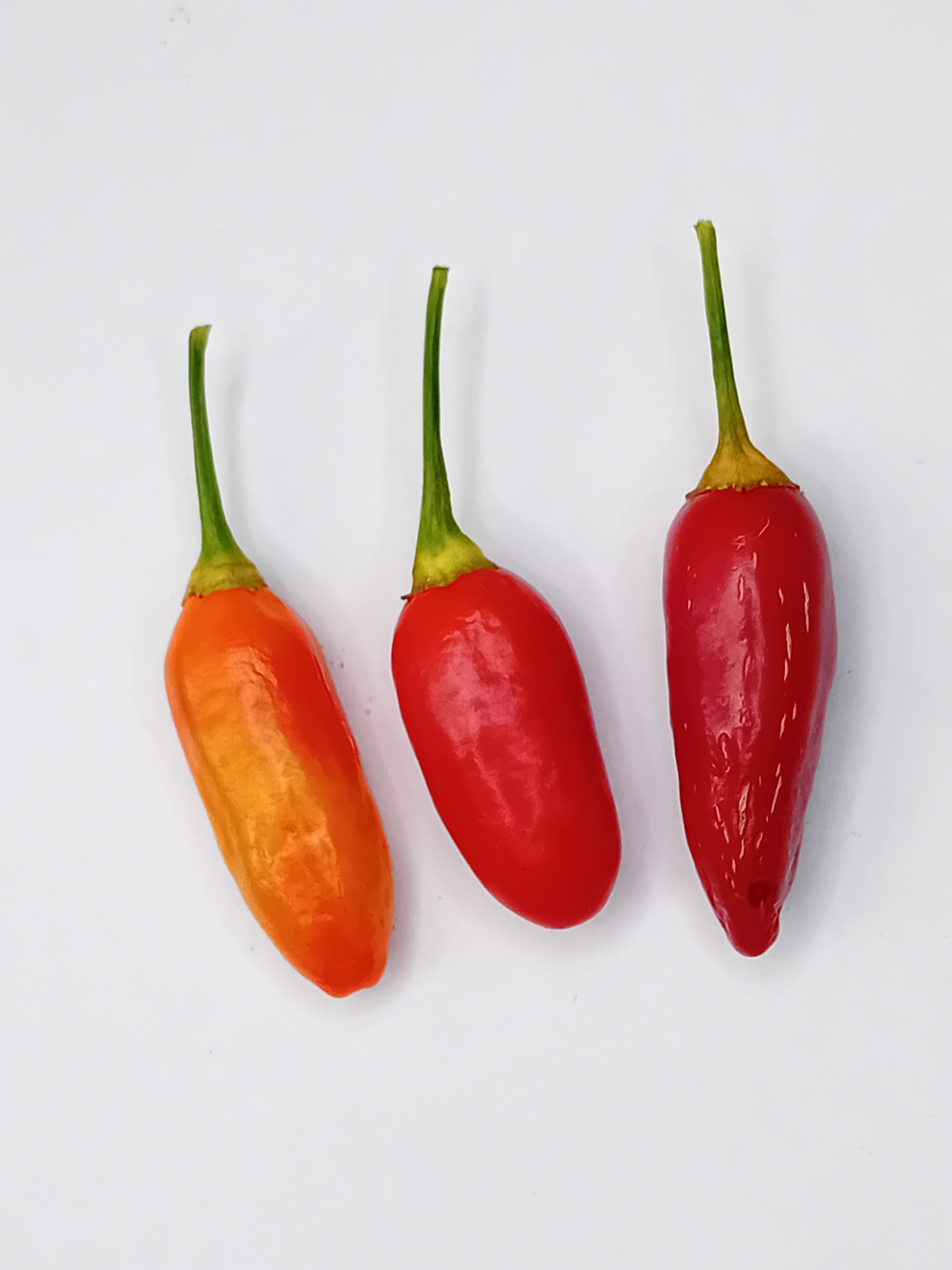 Răsad Ardei - Aji Huanuco