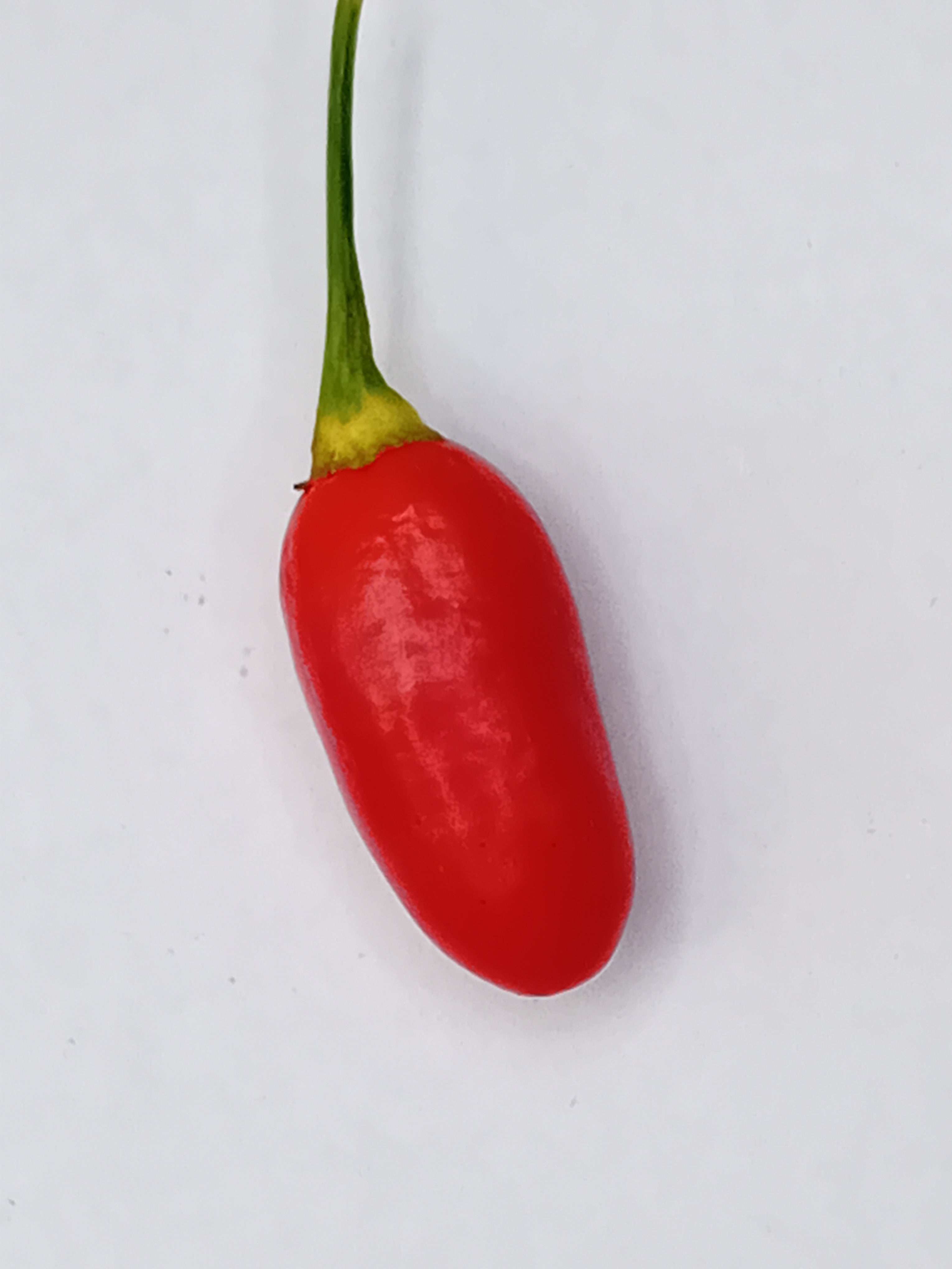 Răsad Ardei - Aji Huanuco