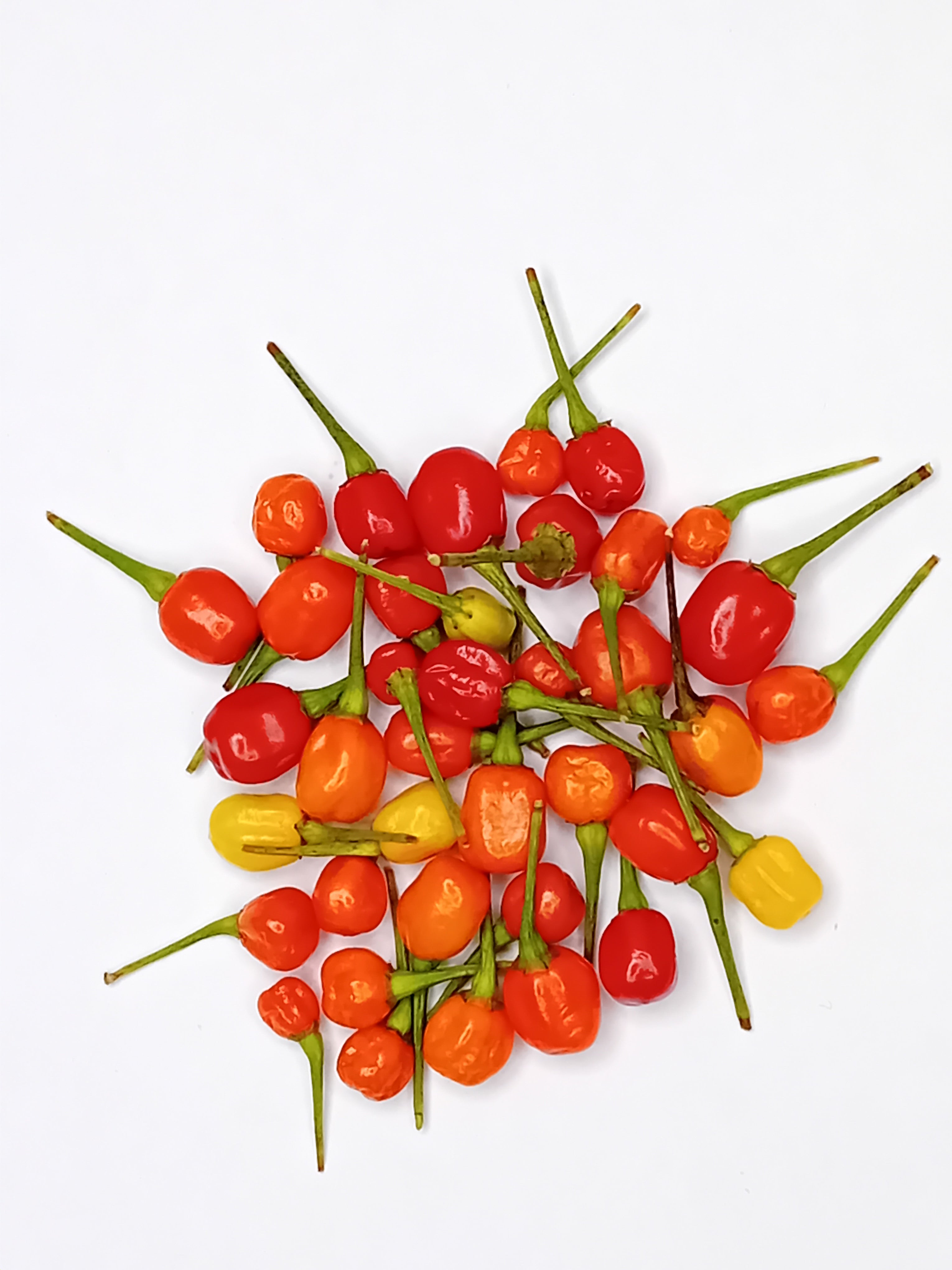 Răsad Ardei - Aji Charapita Red