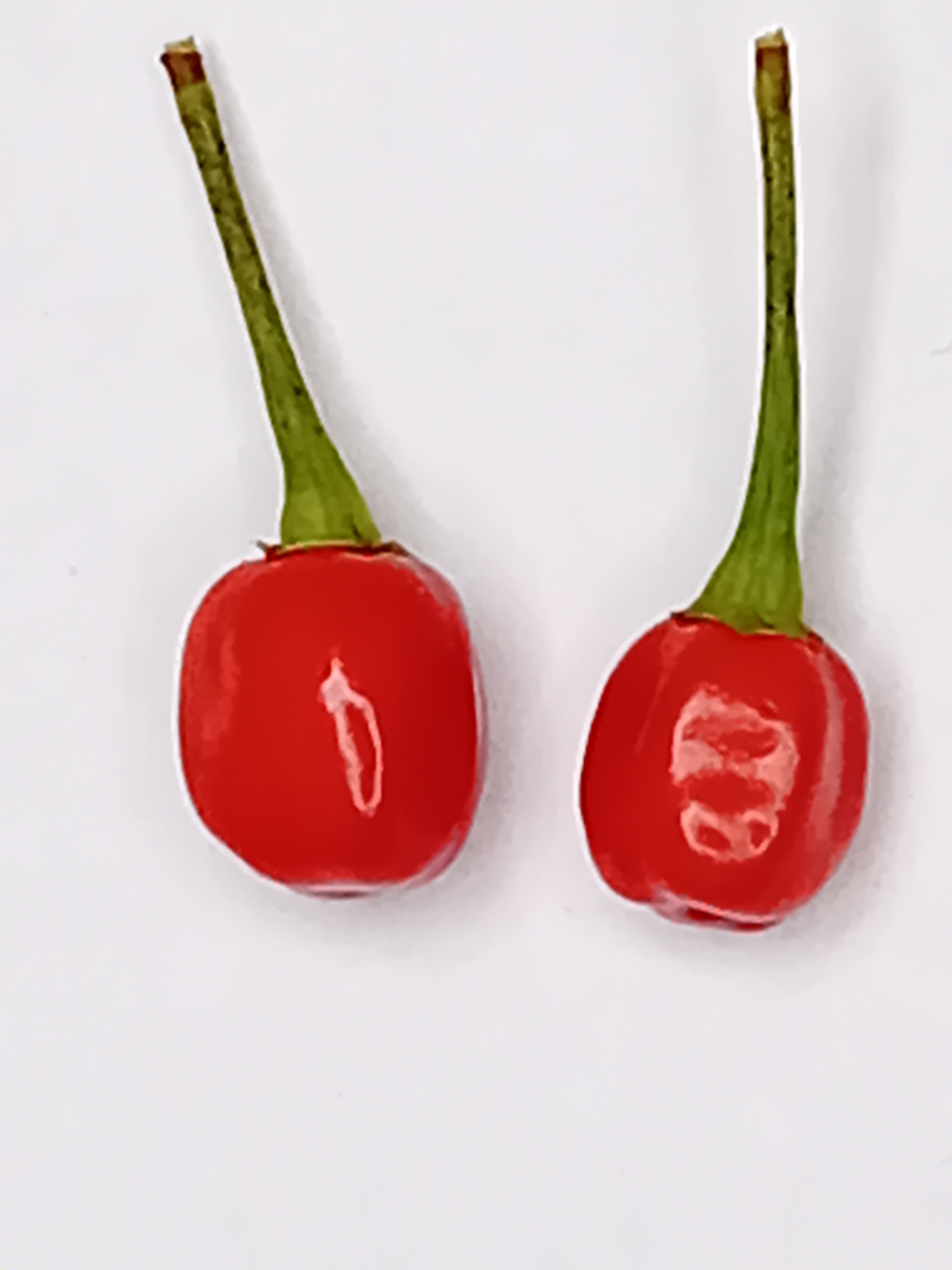 Răsad Ardei - Aji Charapita Red