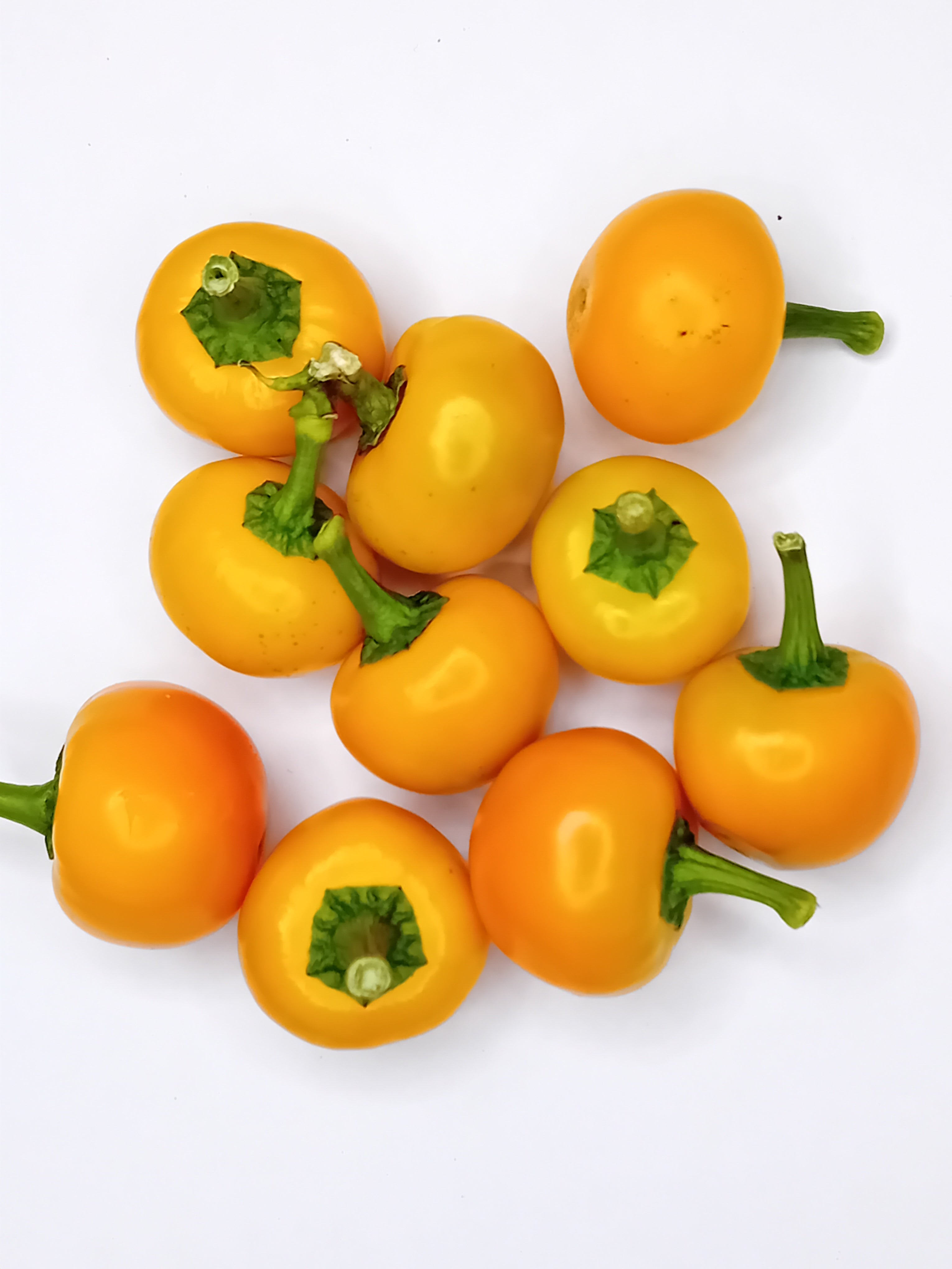 Seminţe Ardei - Peppadew Orange