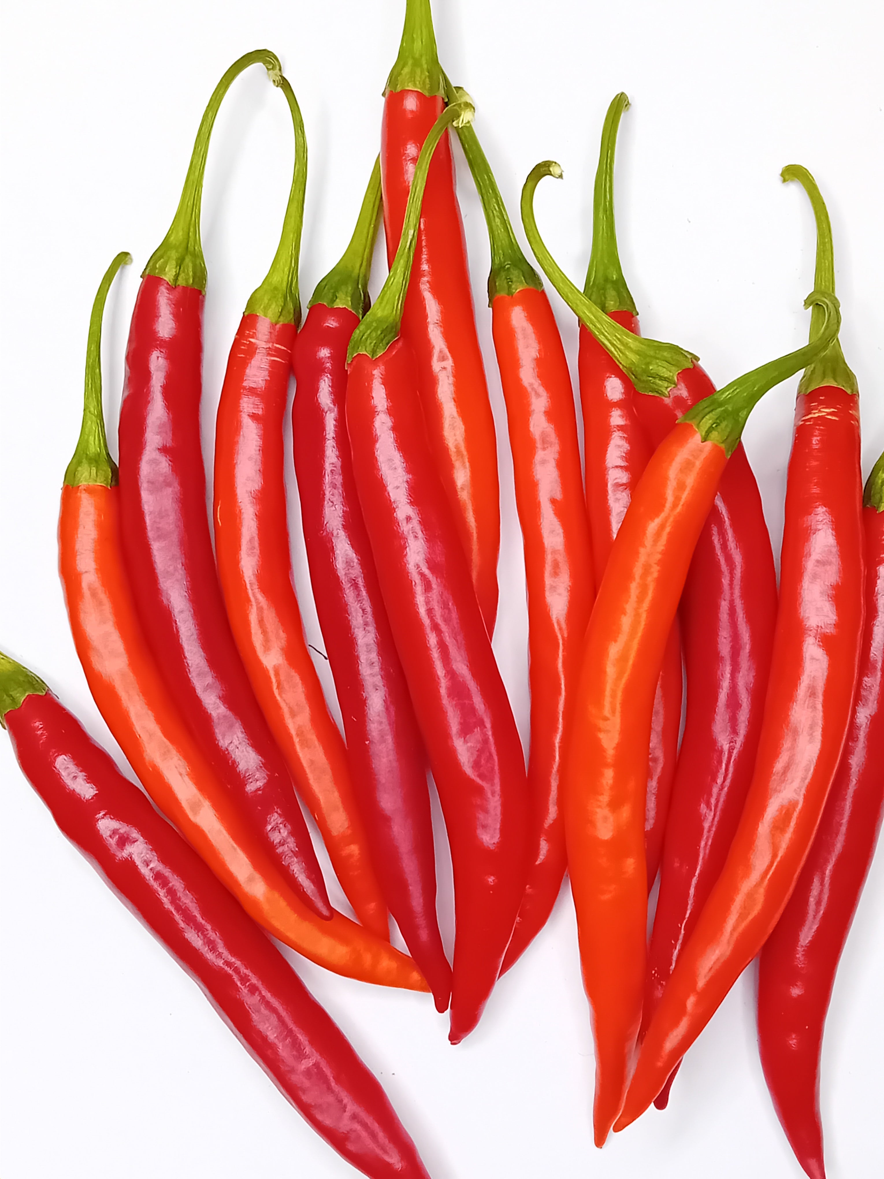 Seminţe Ardei - Mirch Masala