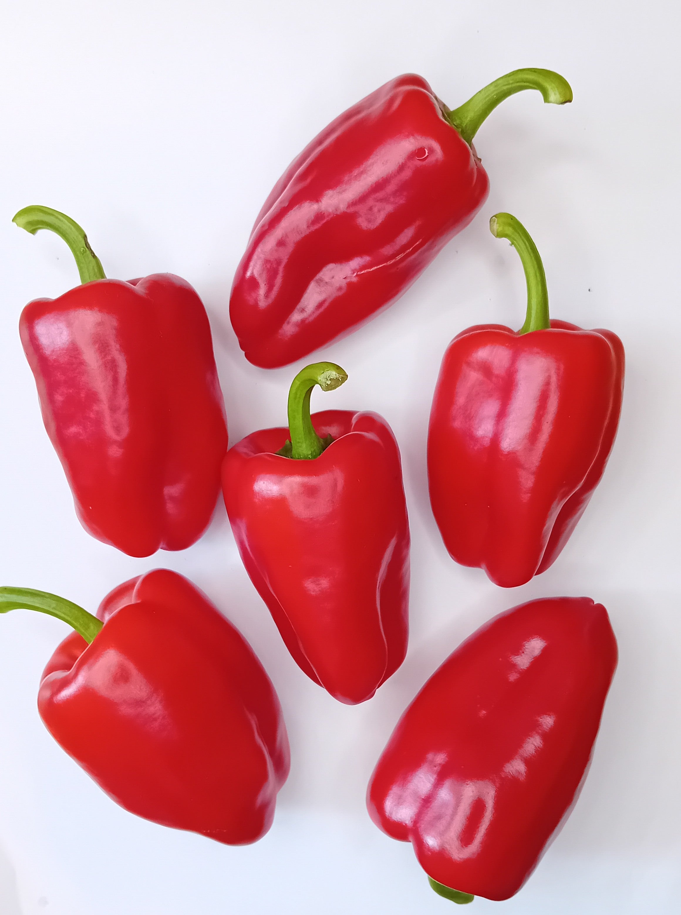 Seminţe Ardei - Pimento D'Espelette