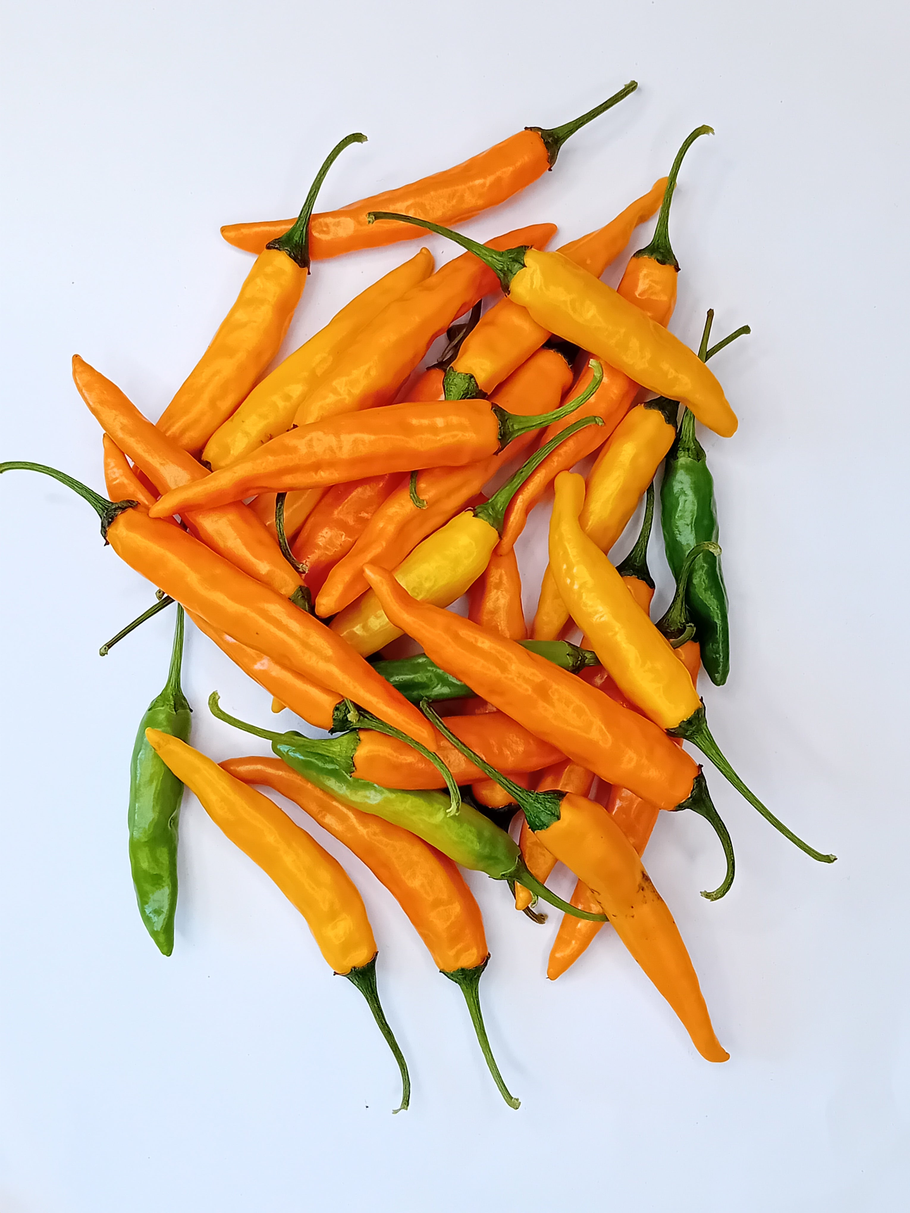 Răsad Ardei - Costeno Amarillo