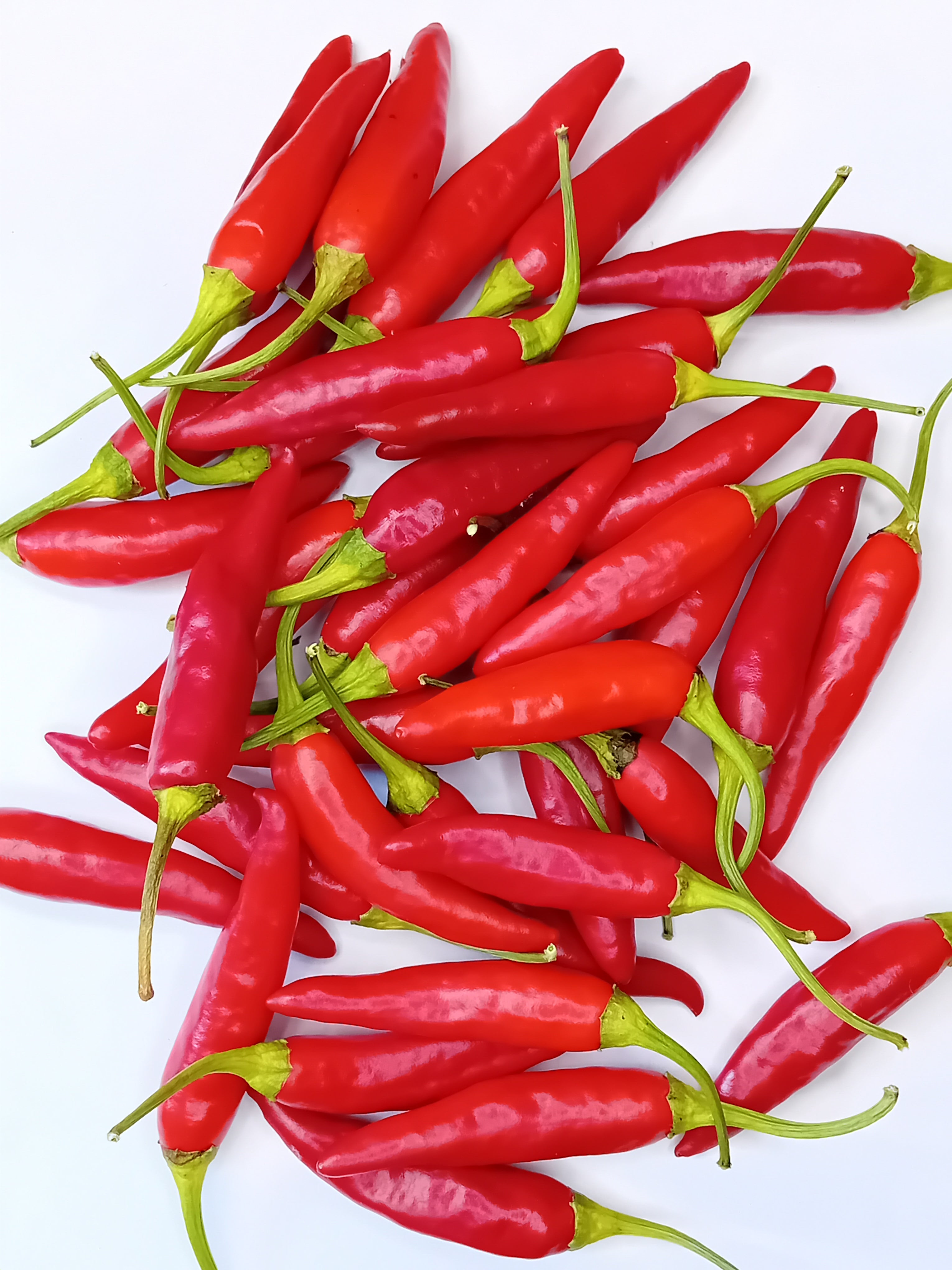 Răsad Ardei - Aji Camba