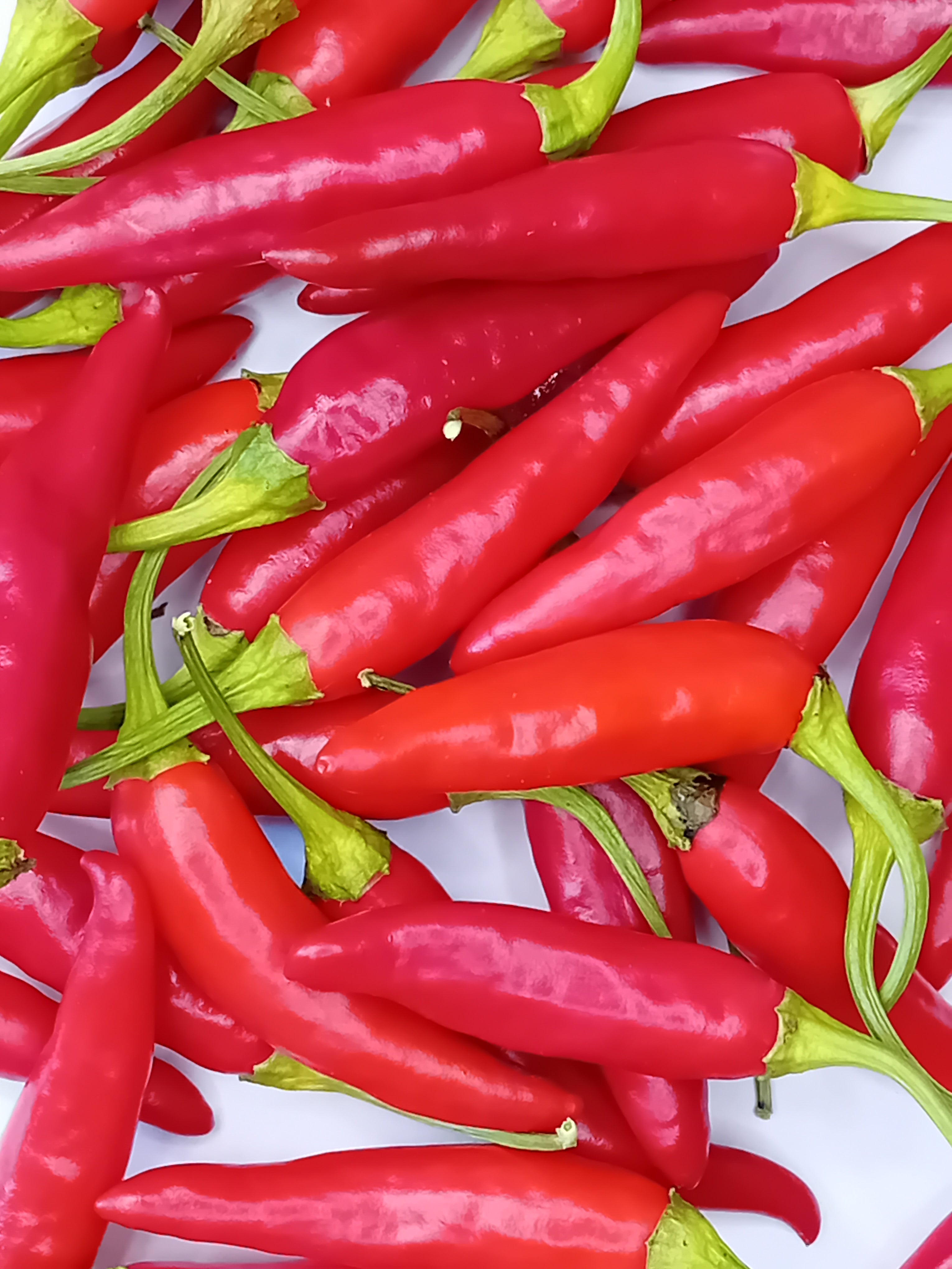 Răsad Ardei - Aji Camba