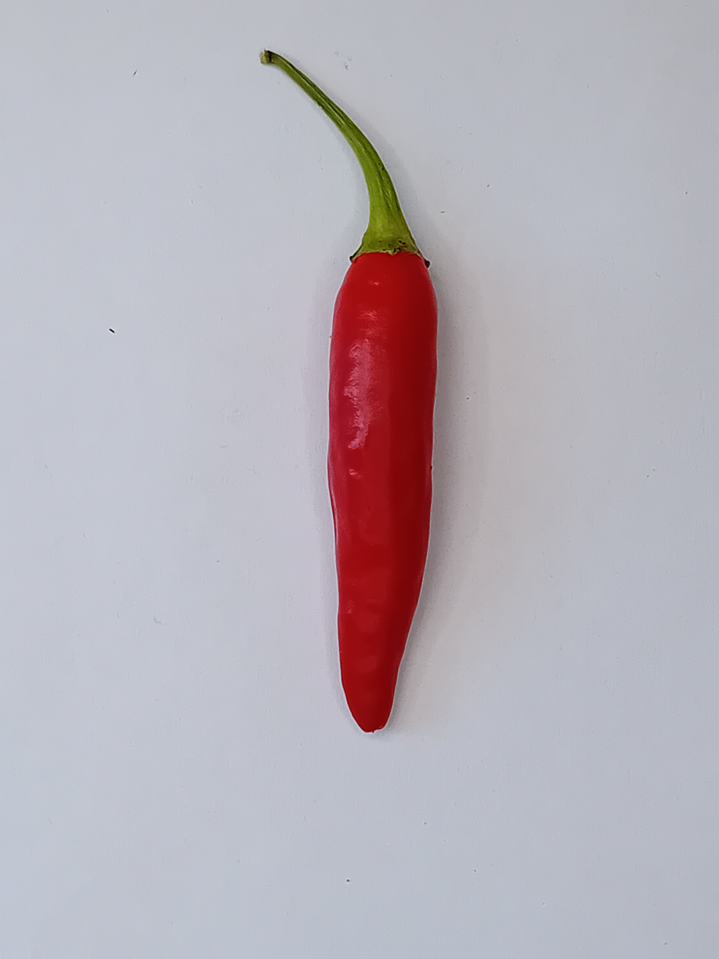 Răsad Ardei - Aji Camba