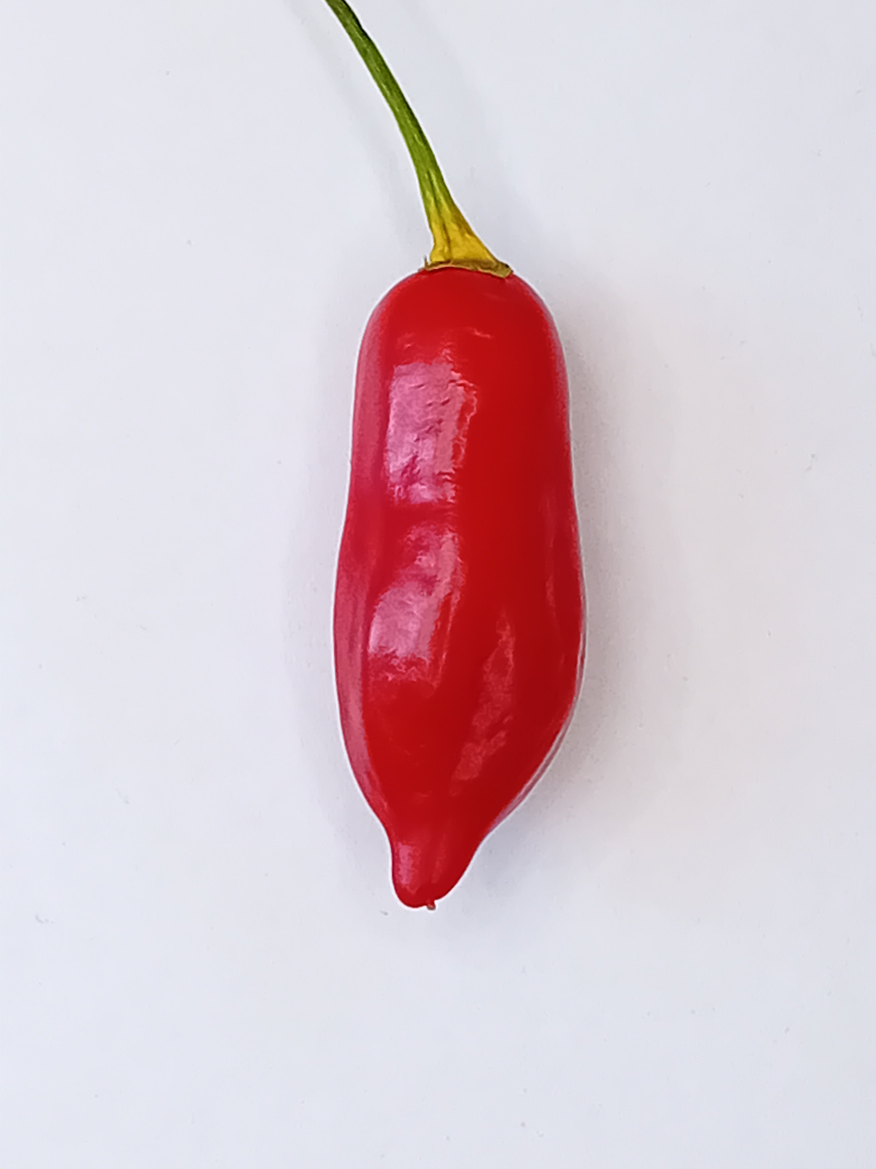 Răsad Ardei - Aji Flor Morado