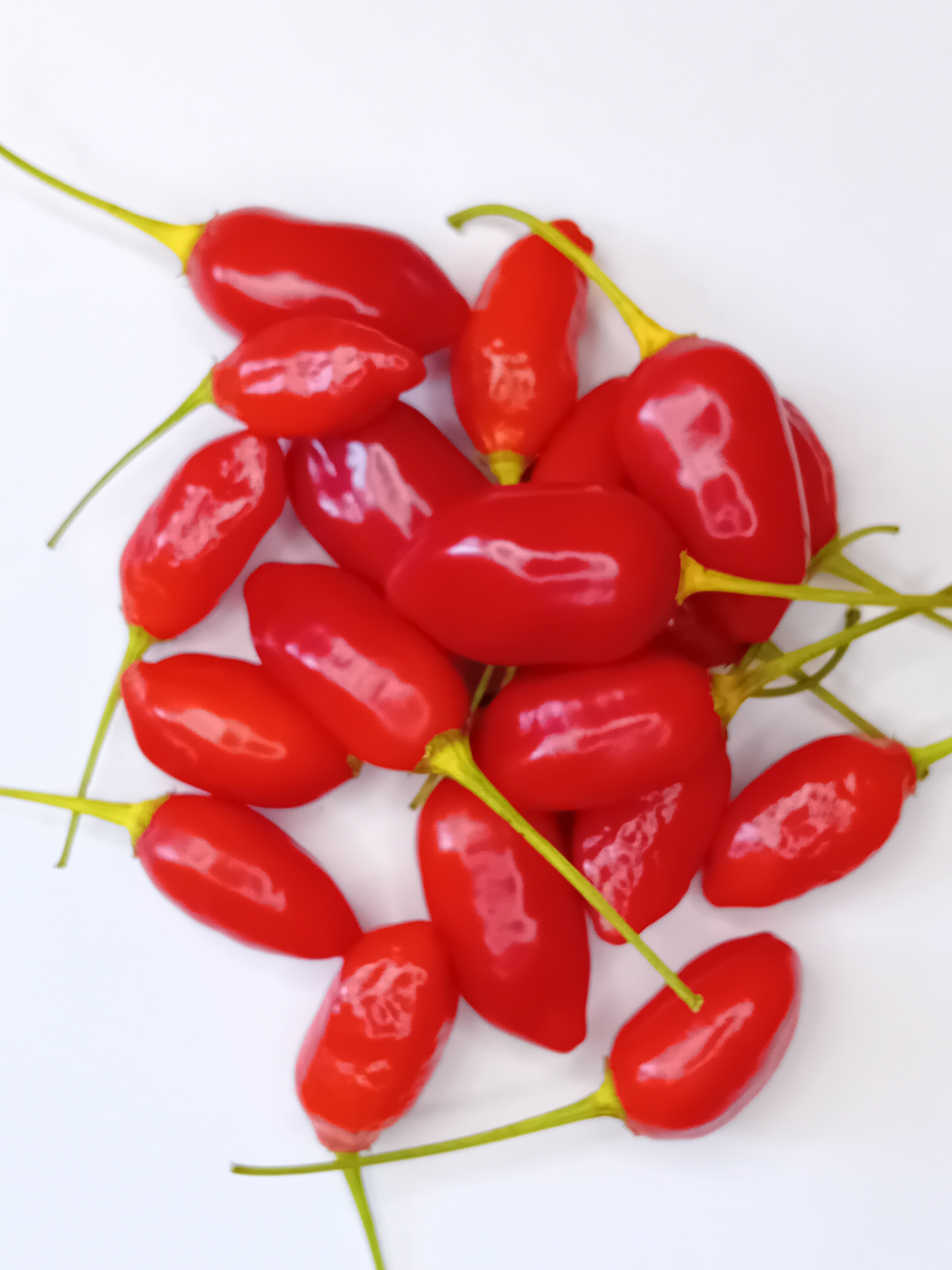 Răsad Ardei - Brazilian Red Olive